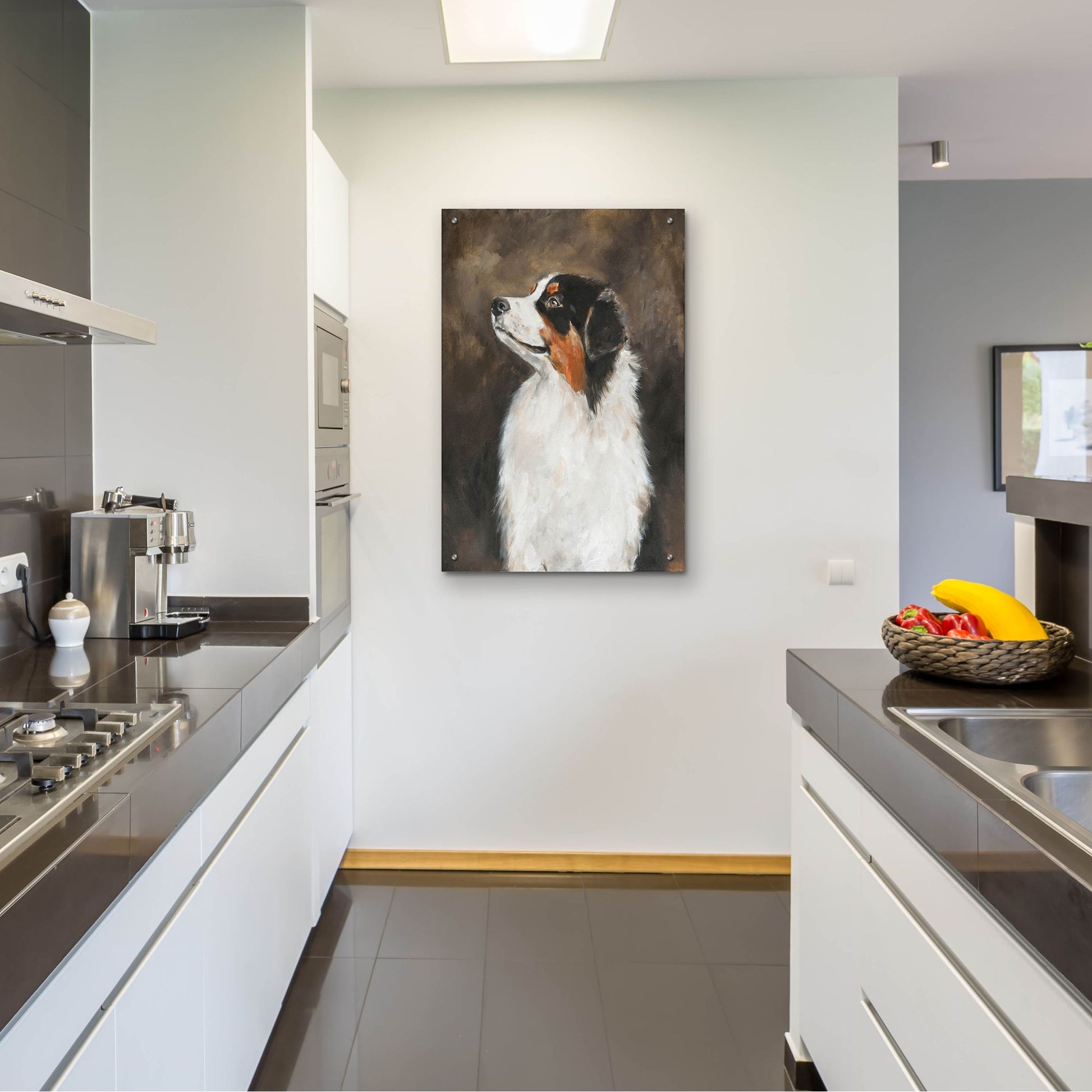 Epic Art 'Australian Shepherd' by Solveiga, Acrylic Glass Wall Art,24x36