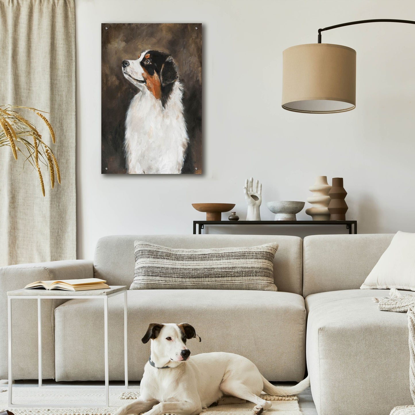 Epic Art 'Australian Shepherd' by Solveiga, Acrylic Glass Wall Art,24x36