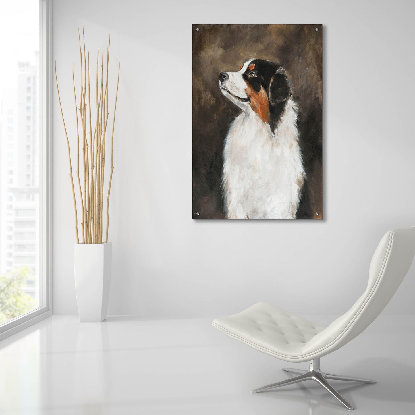 Epic Art 'Australian Shepherd' by Solveiga, Acrylic Glass Wall Art,24x36