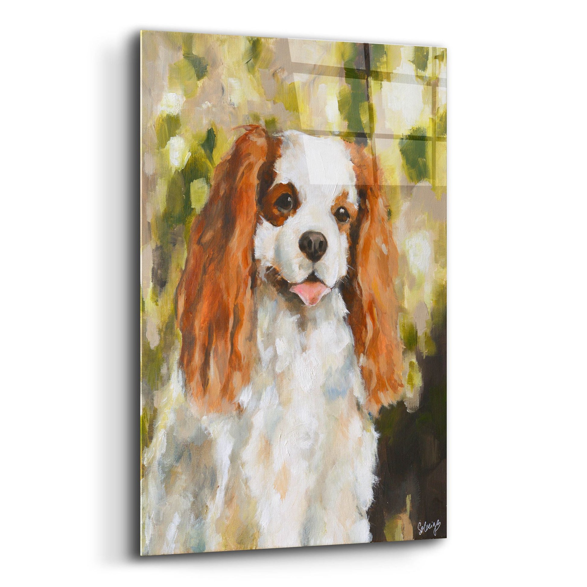 Epic Art 'Cavalier King Charles' by Solveiga, Acrylic Glass Wall Art,12x16