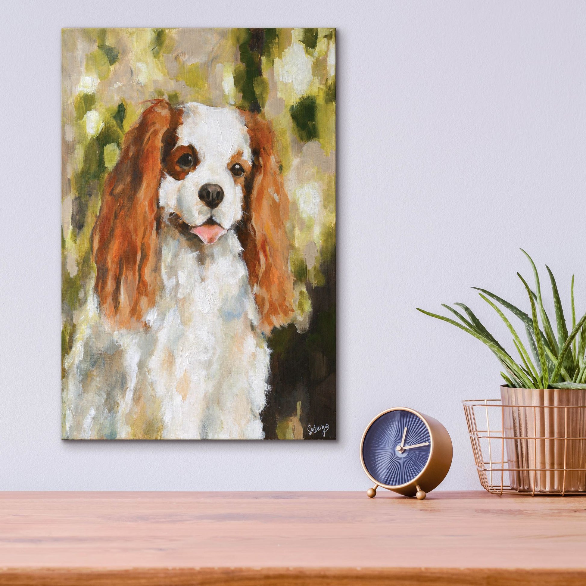 Epic Art 'Cavalier King Charles' by Solveiga, Acrylic Glass Wall Art,12x16