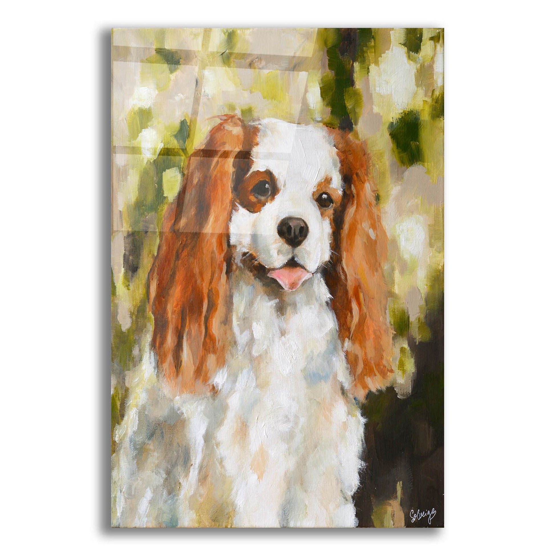 Epic Art 'Cavalier King Charles' by Solveiga, Acrylic Glass Wall Art