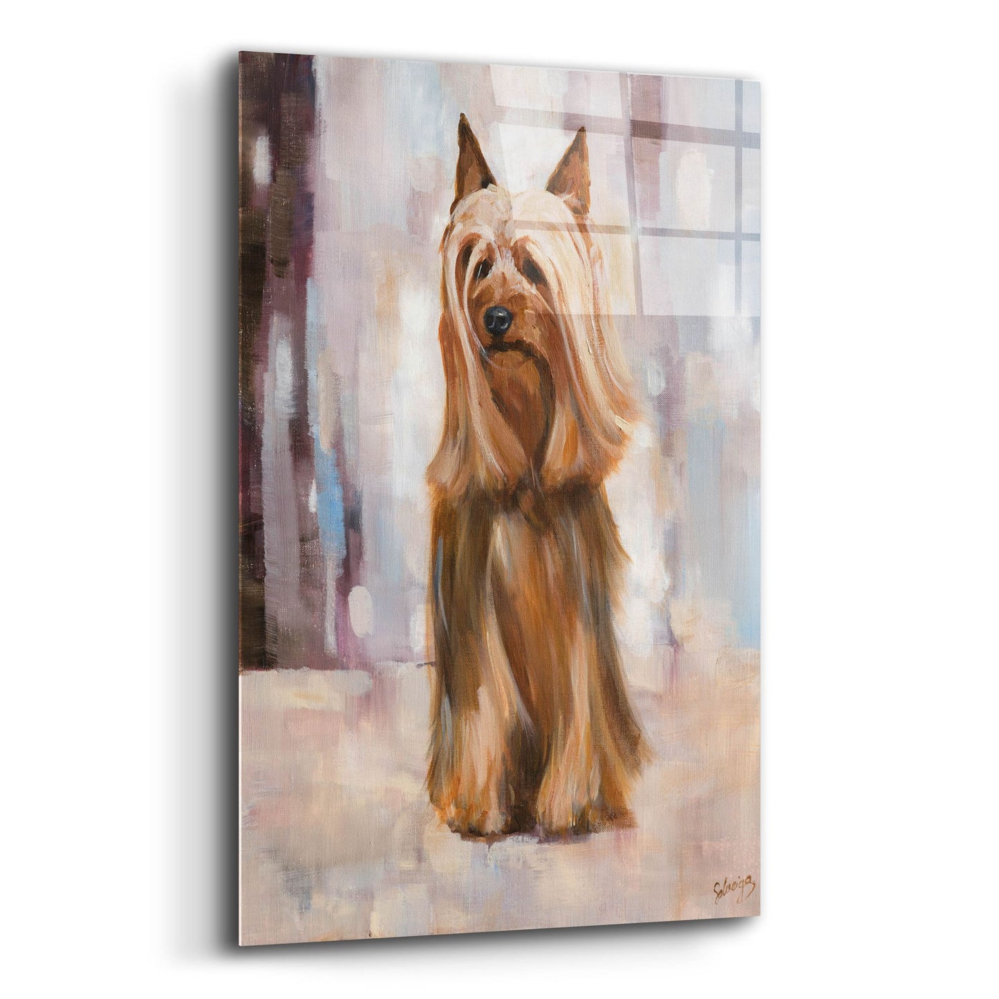 Epic Art 'Silky Terrier I' by Solveiga, Acrylic Glass Wall Art,12x16