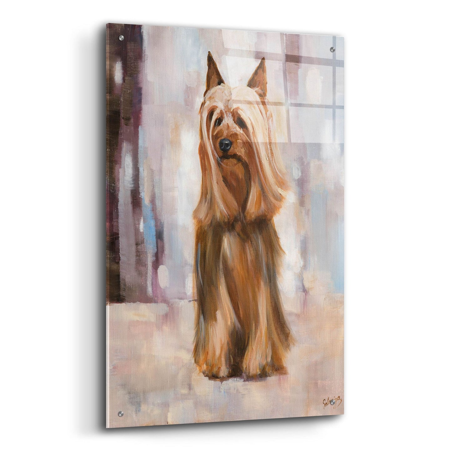 Epic Art 'Silky Terrier I' by Solveiga, Acrylic Glass Wall Art,24x36