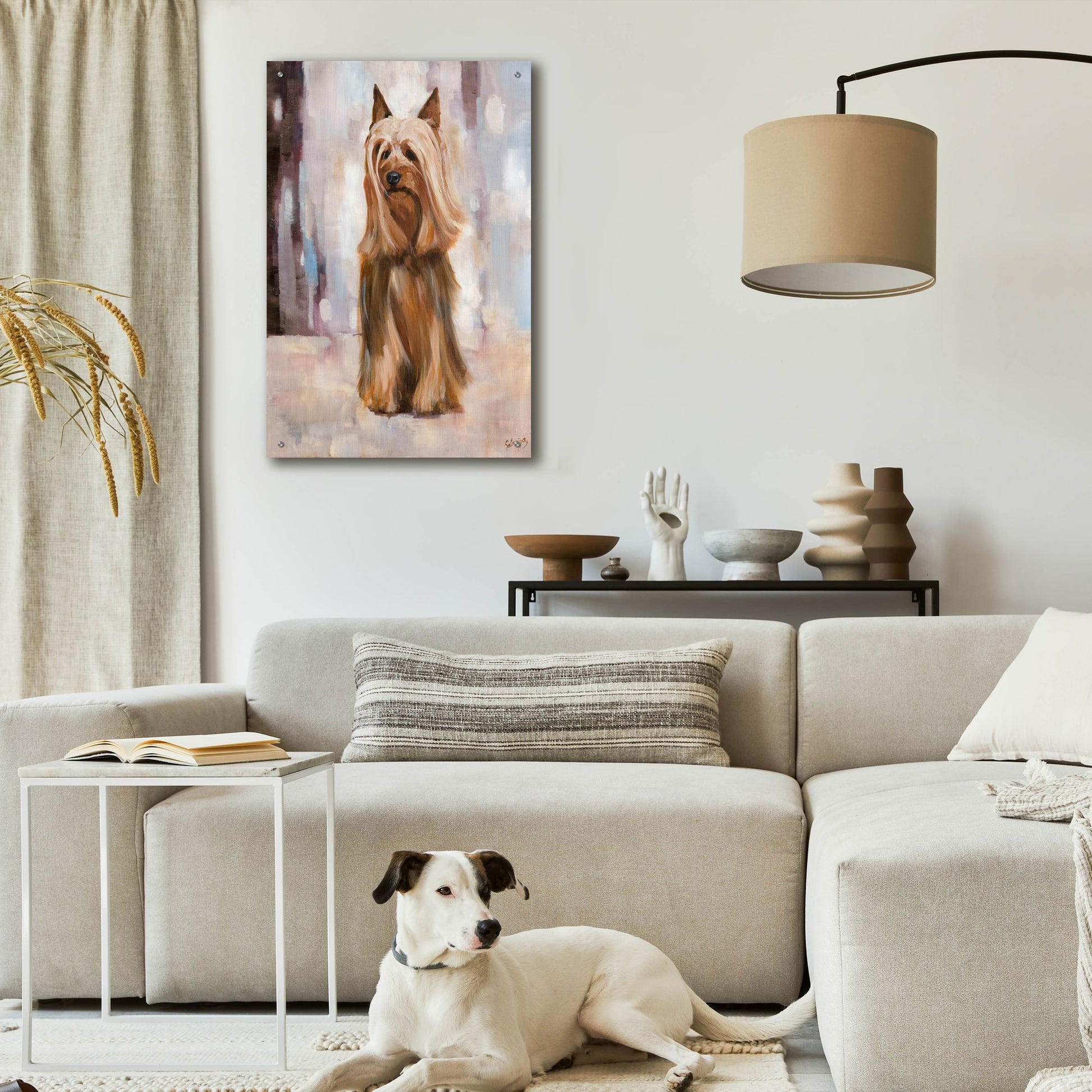 Epic Art 'Silky Terrier I' by Solveiga, Acrylic Glass Wall Art,24x36