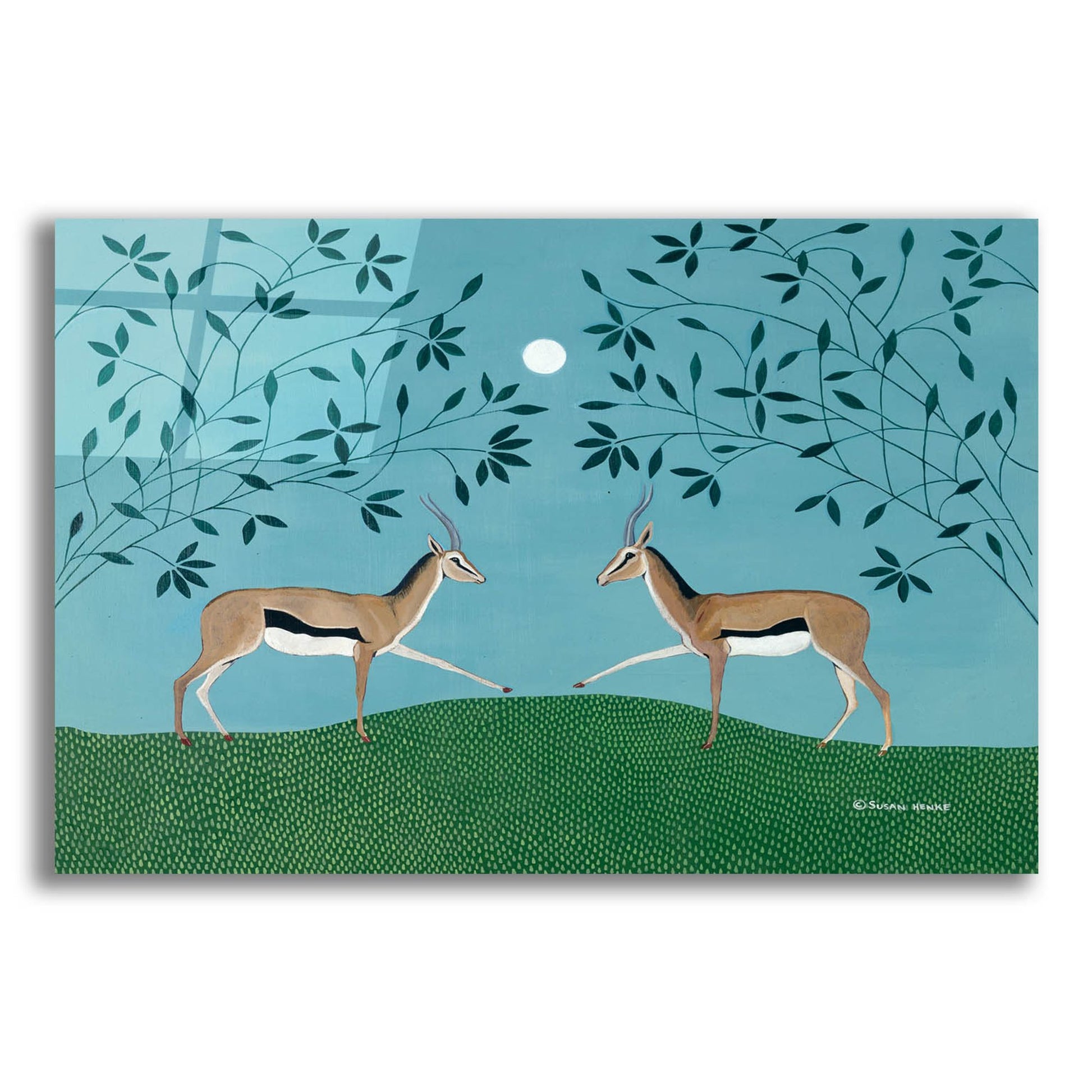 Epic Art 'The Gazelles Greeting' by Susan Henke Fine Art, Acrylic Glass Wall Art,24x16