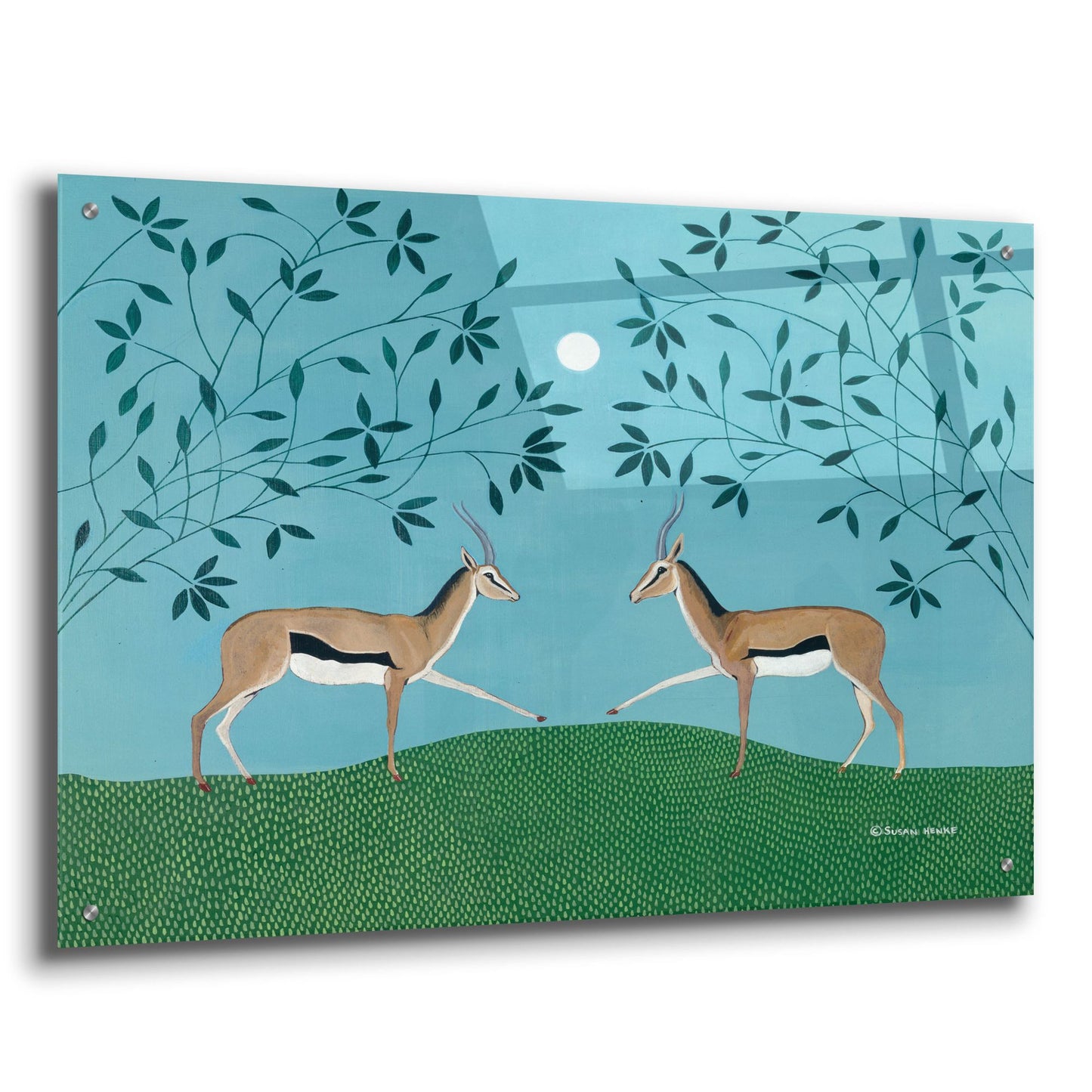 Epic Art 'The Gazelles Greeting' by Susan Henke Fine Art, Acrylic Glass Wall Art,36x24