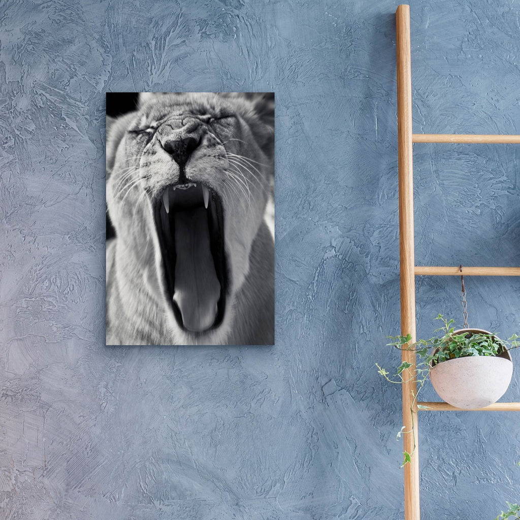 Epic Art 'An Attack' by SD Smart, Acrylic Glass Wall Art,16x24
