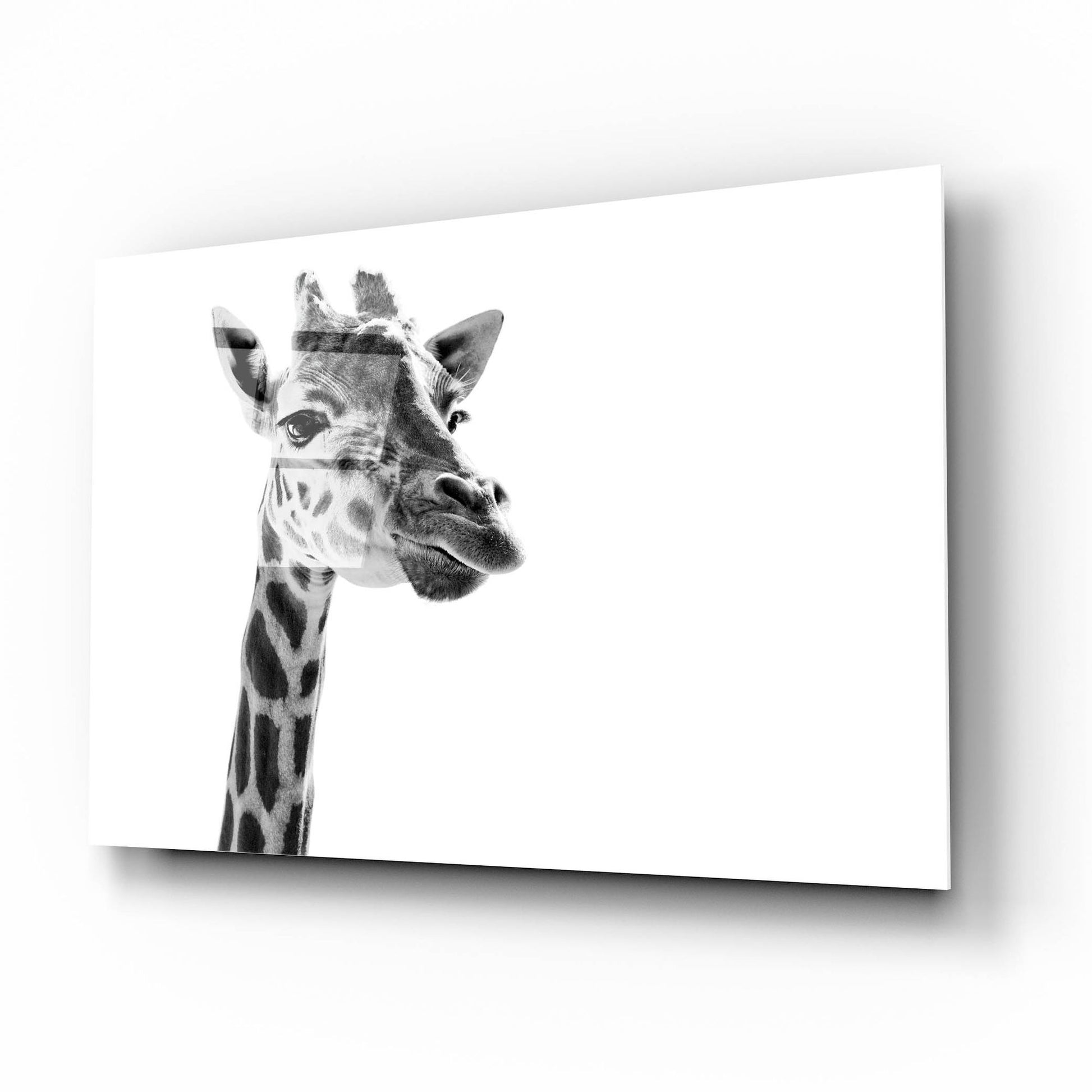 Epic Art 'Giraffe Expressionism' by SD Smart, Acrylic Glass Wall Art,16x12