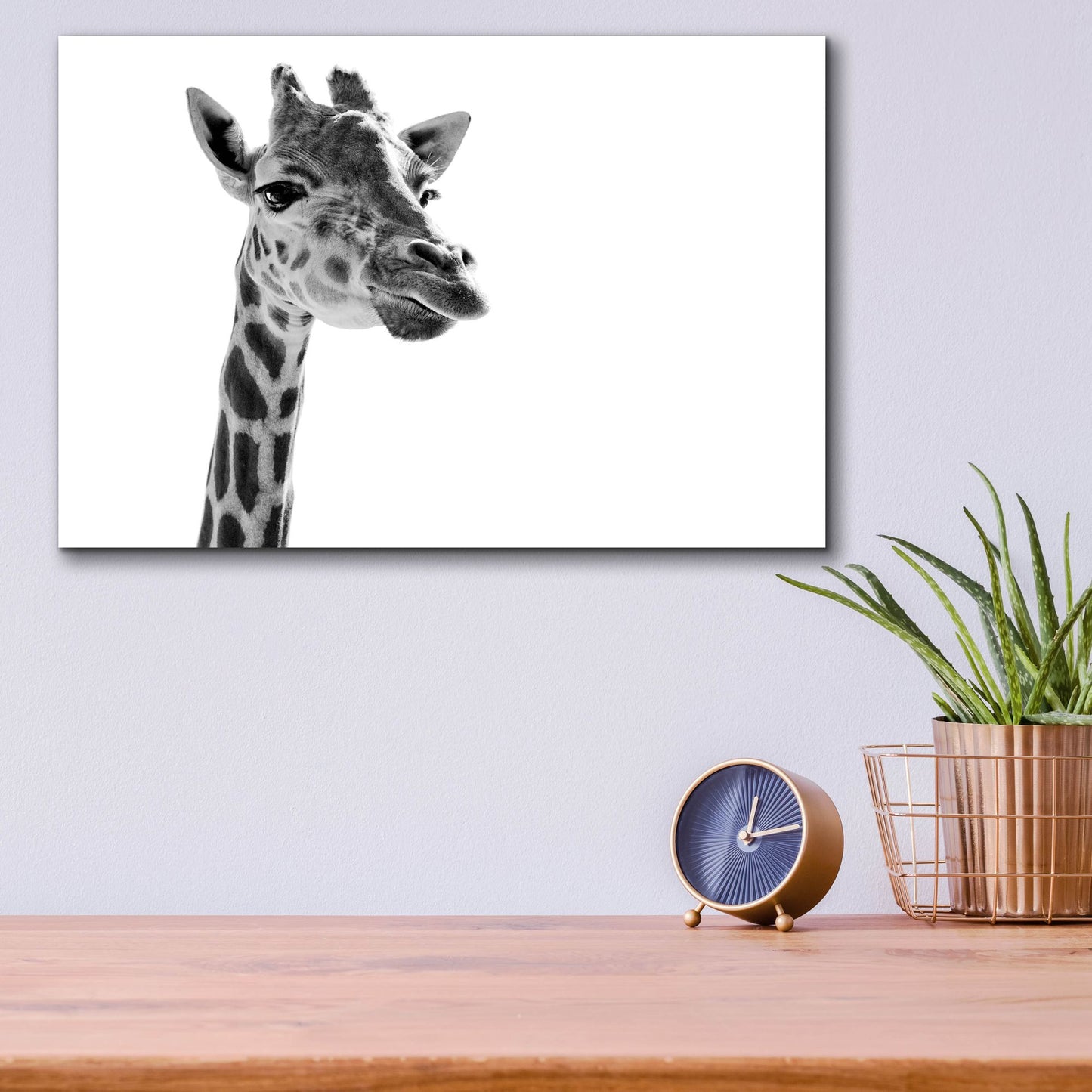 Epic Art 'Giraffe Expressionism' by SD Smart, Acrylic Glass Wall Art,16x12