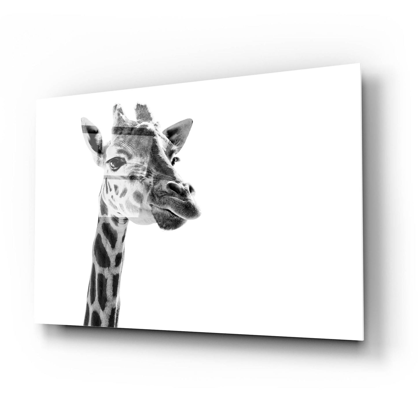 Epic Art 'Giraffe Expressionism' by SD Smart, Acrylic Glass Wall Art,24x16