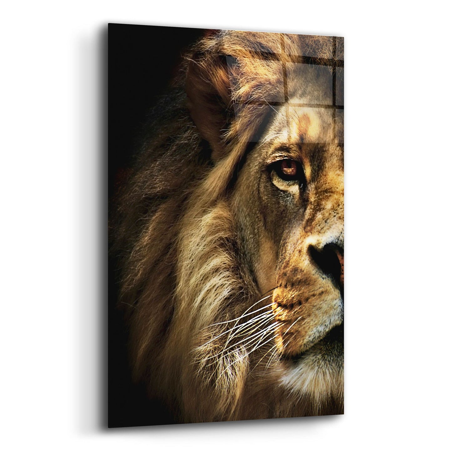 Epic Art 'Majestic Dominance' by SD Smart, Acrylic Glass Wall Art,12x16