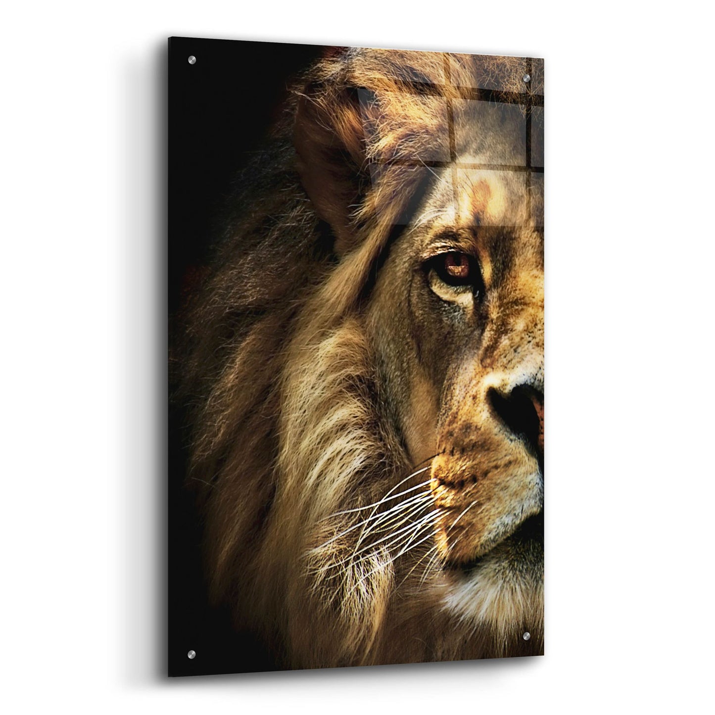 Epic Art 'Majestic Dominance' by SD Smart, Acrylic Glass Wall Art,24x36