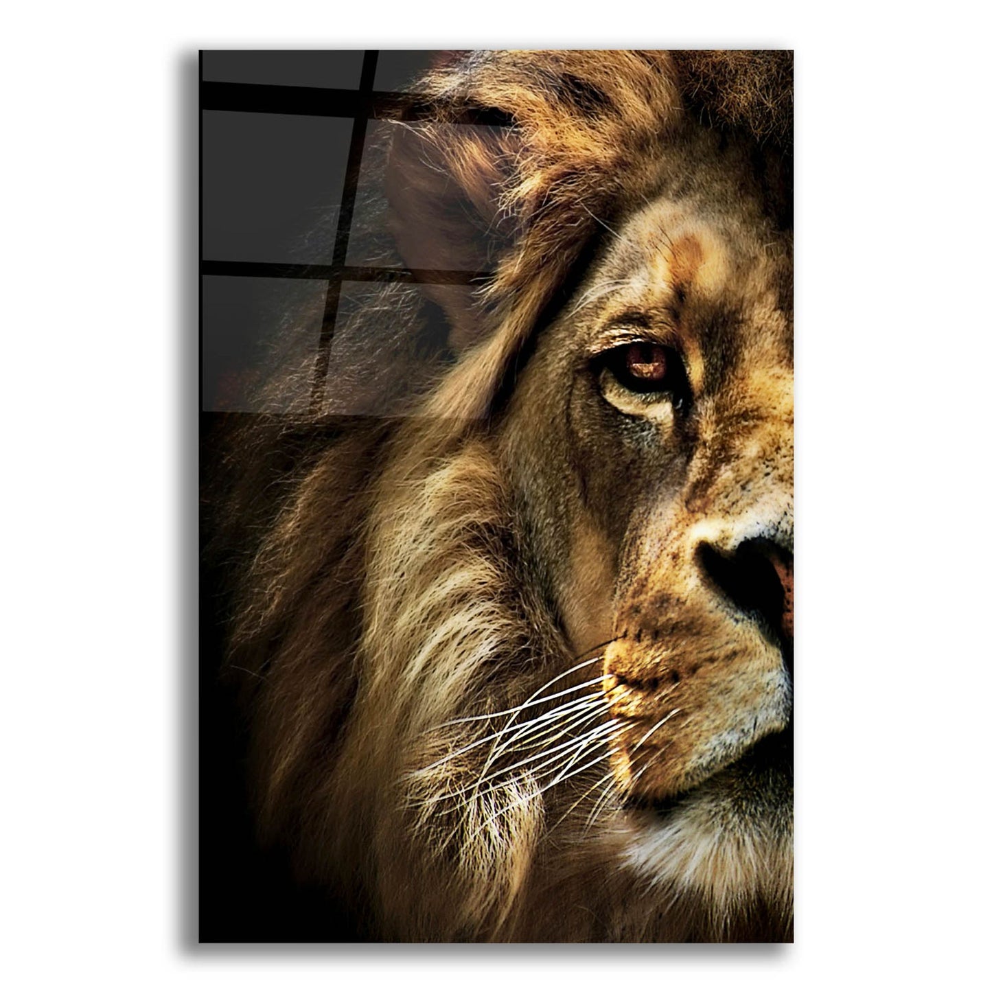 Epic Art 'Majestic Dominance' by SD Smart, Acrylic Glass Wall Art