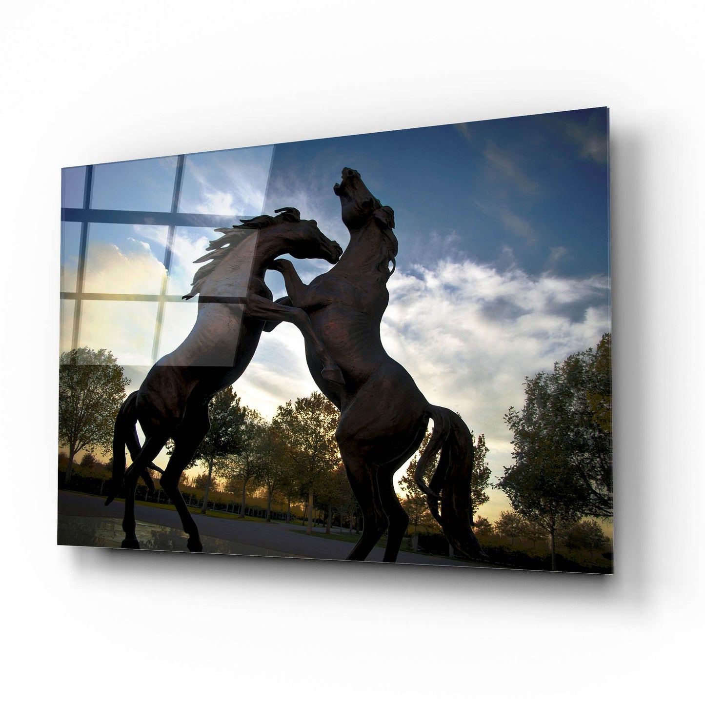 Epic Art 'Stallions' by SD Smart, Acrylic Glass Wall Art,16x12