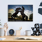 Epic Art 'Stallions' by SD Smart, Acrylic Glass Wall Art,16x12