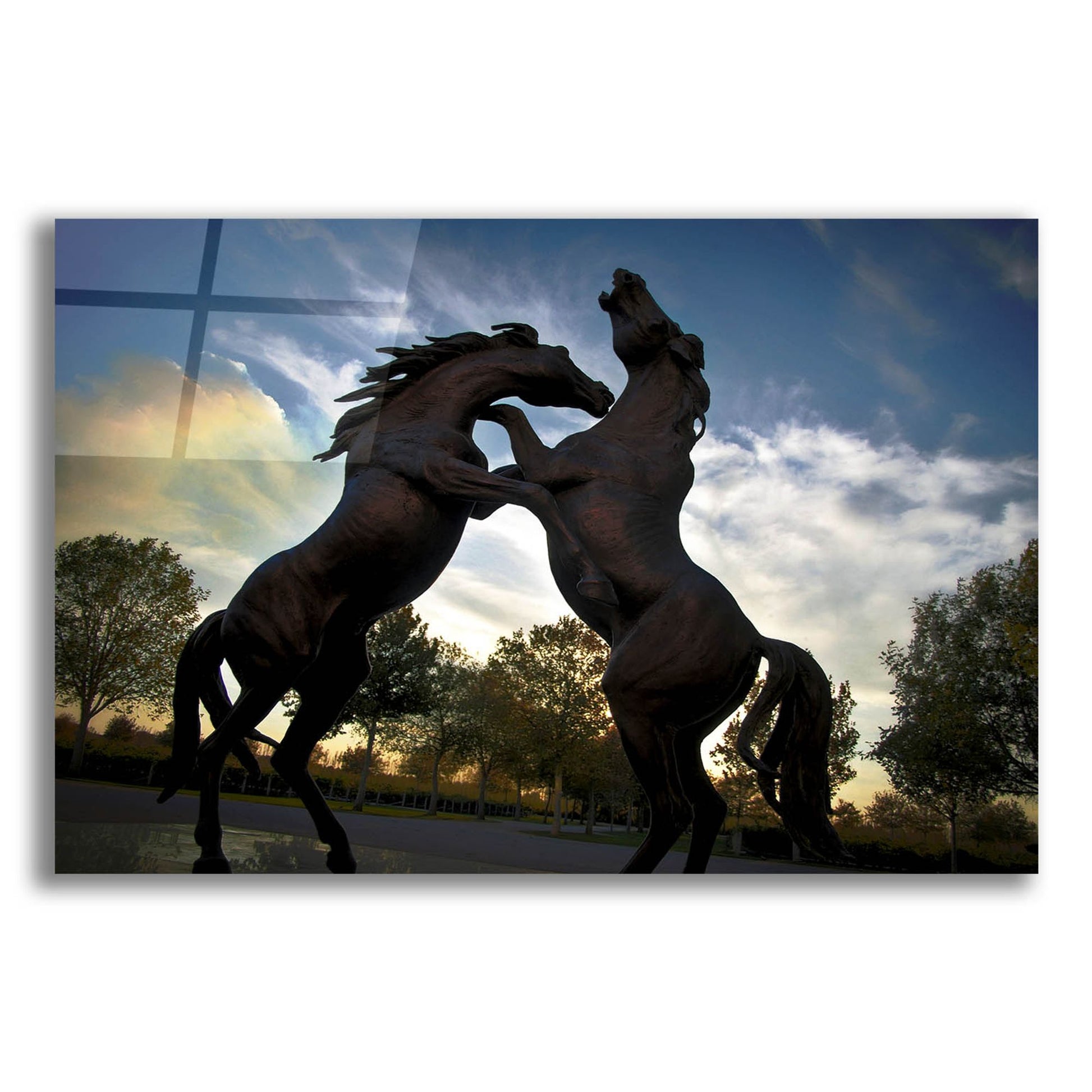Epic Art 'Stallions' by SD Smart, Acrylic Glass Wall Art