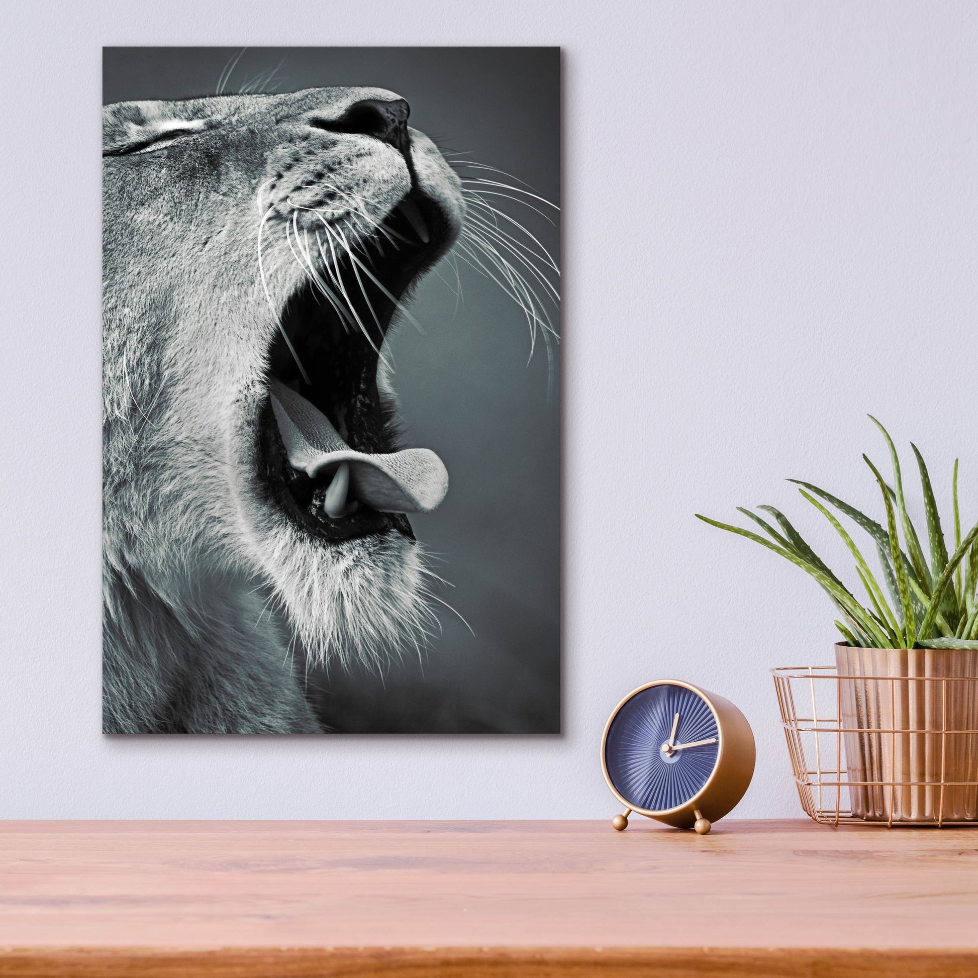 Epic Art 'Yawn' by SD Smart, Acrylic Glass Wall Art,12x16