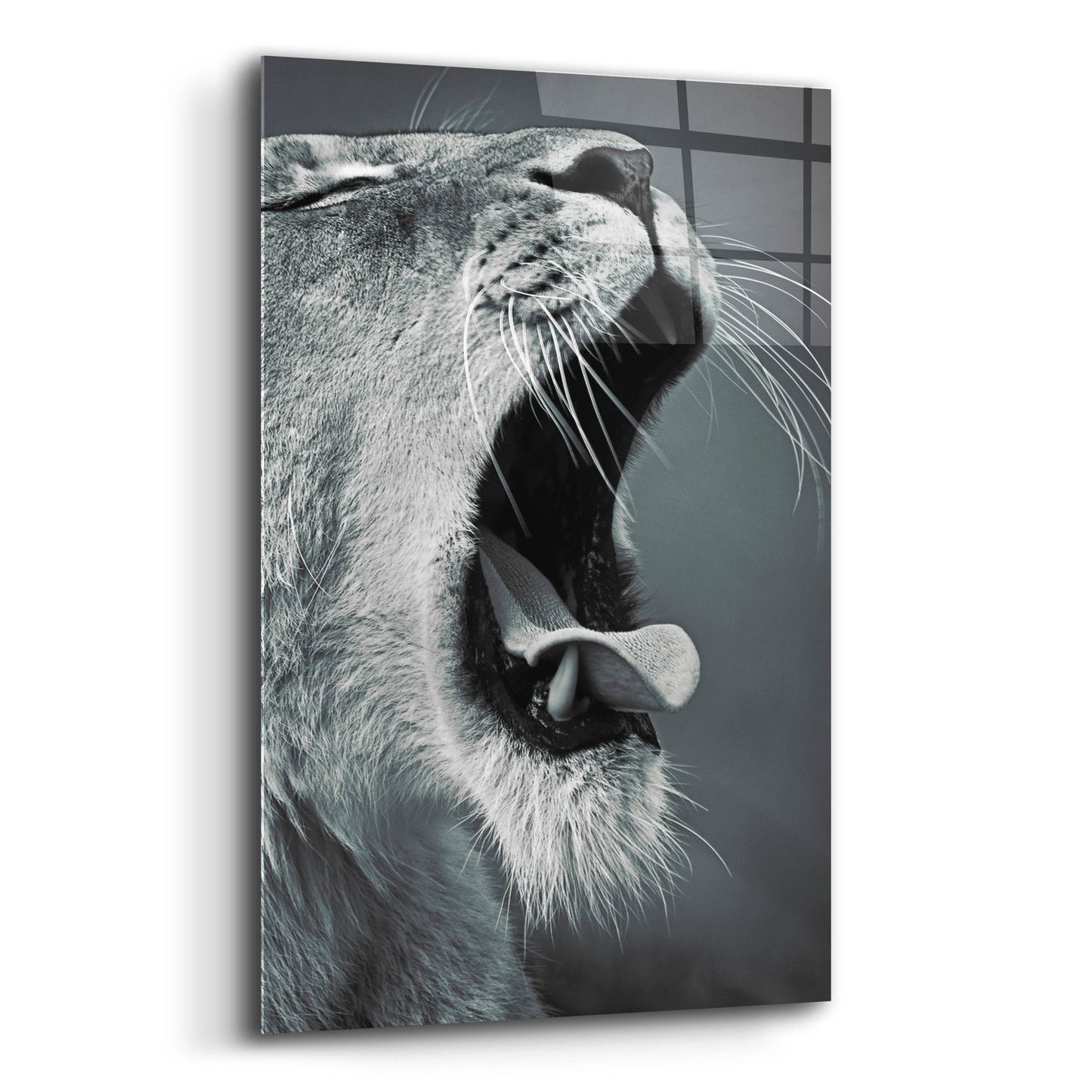 Epic Art 'Yawn' by SD Smart, Acrylic Glass Wall Art,16x24