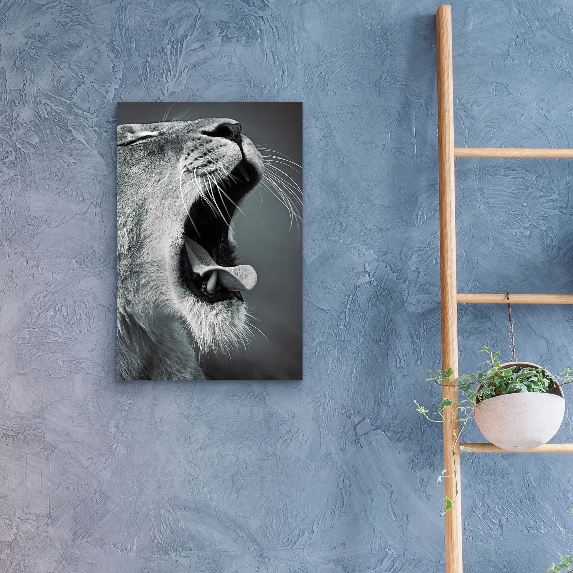 Epic Art 'Yawn' by SD Smart, Acrylic Glass Wall Art,16x24