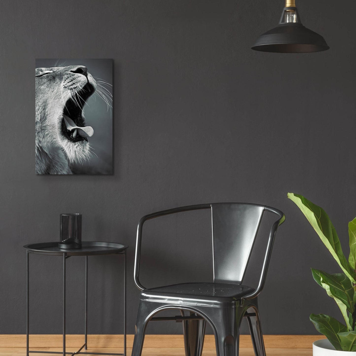 Epic Art 'Yawn' by SD Smart, Acrylic Glass Wall Art,16x24