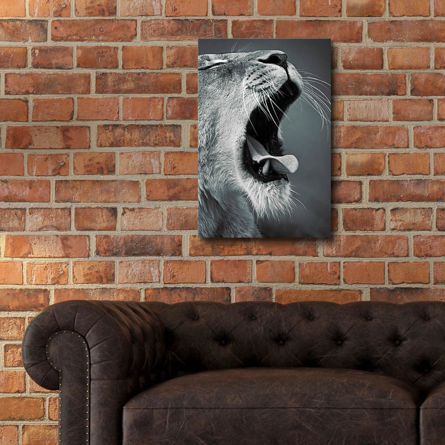 Epic Art 'Yawn' by SD Smart, Acrylic Glass Wall Art,16x24