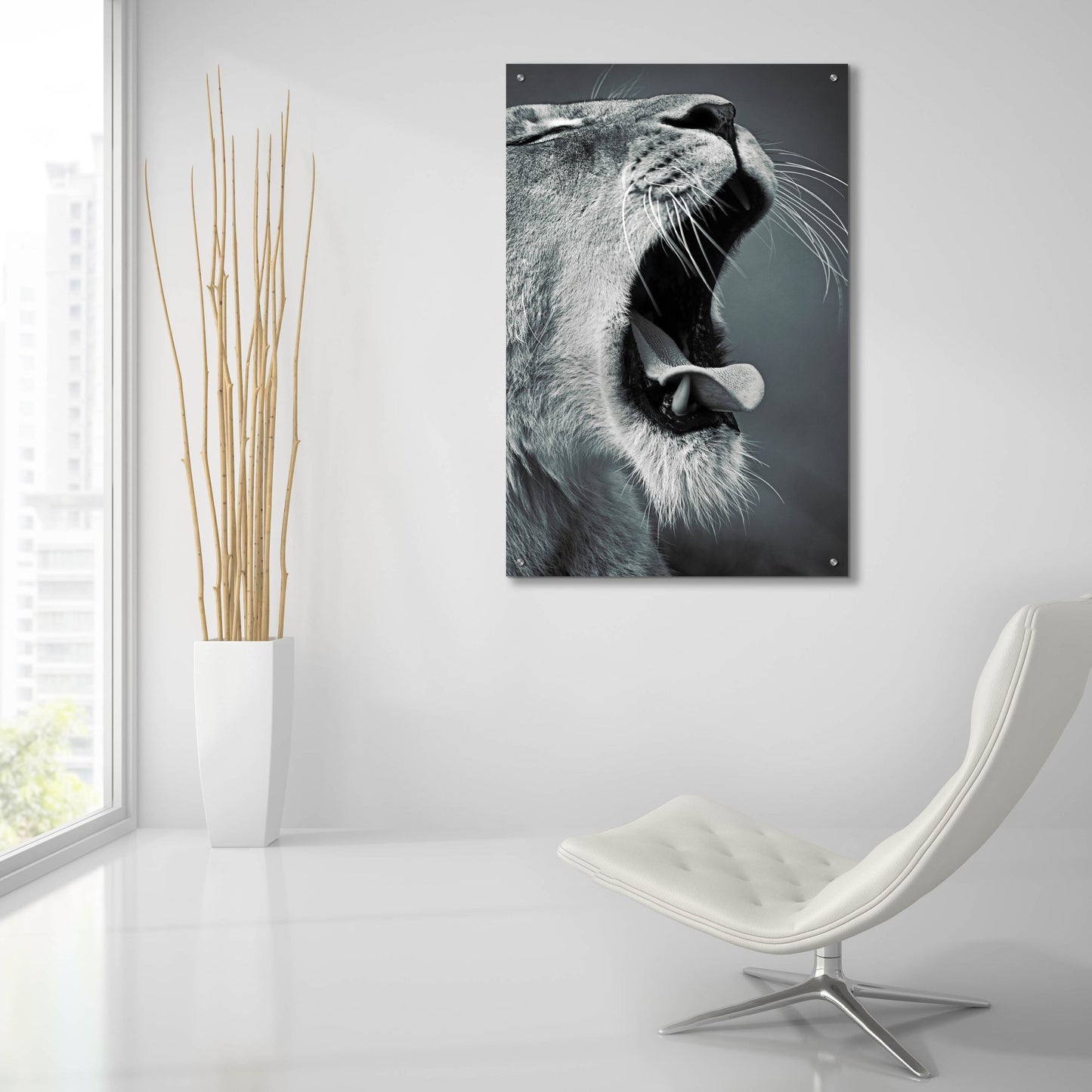 Epic Art 'Yawn' by SD Smart, Acrylic Glass Wall Art,24x36