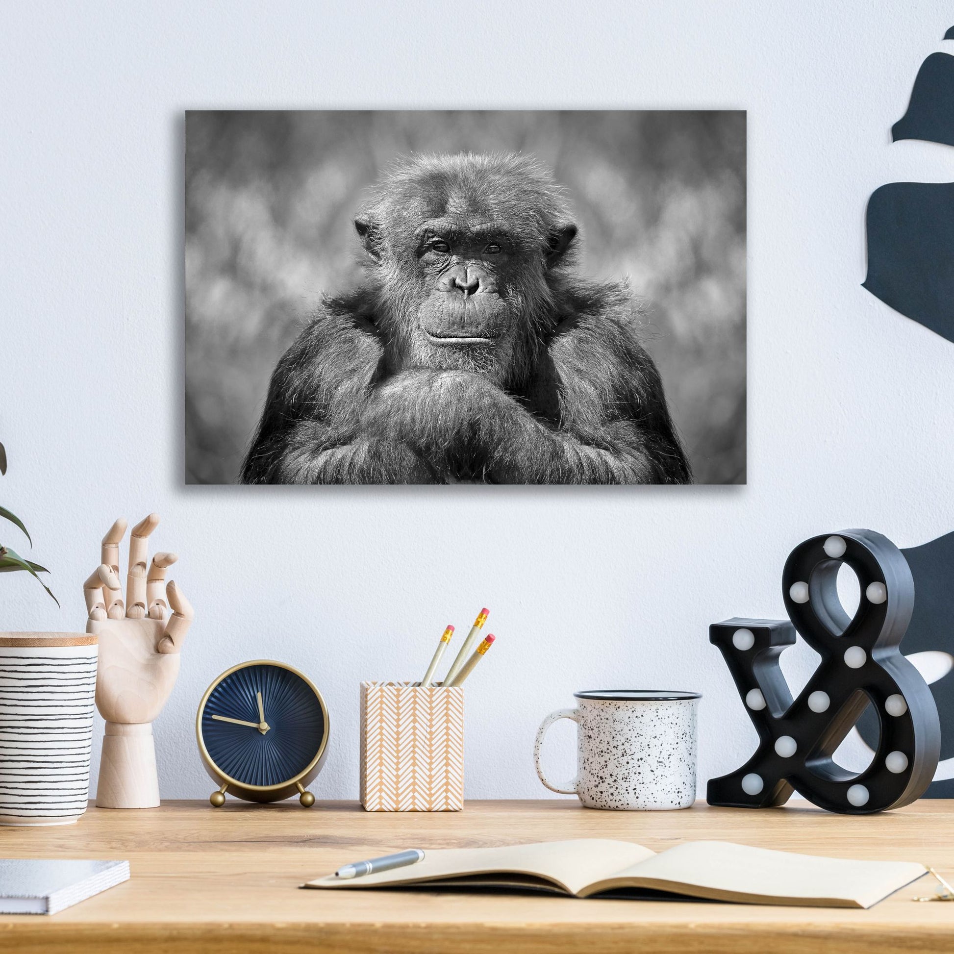 Epic Art 'Chimp' by SD Smart, Acrylic Glass Wall Art,16x12