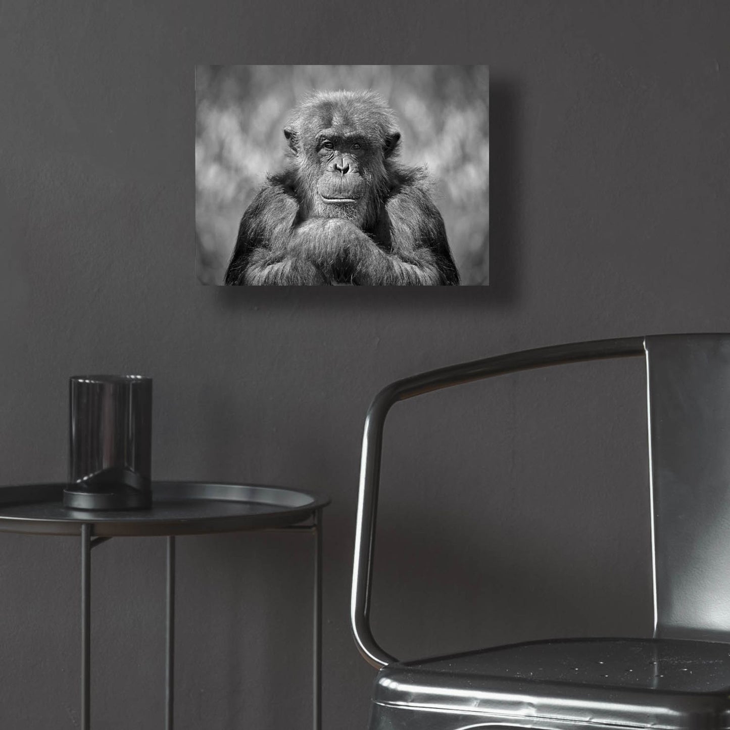 Epic Art 'Chimp' by SD Smart, Acrylic Glass Wall Art,16x12