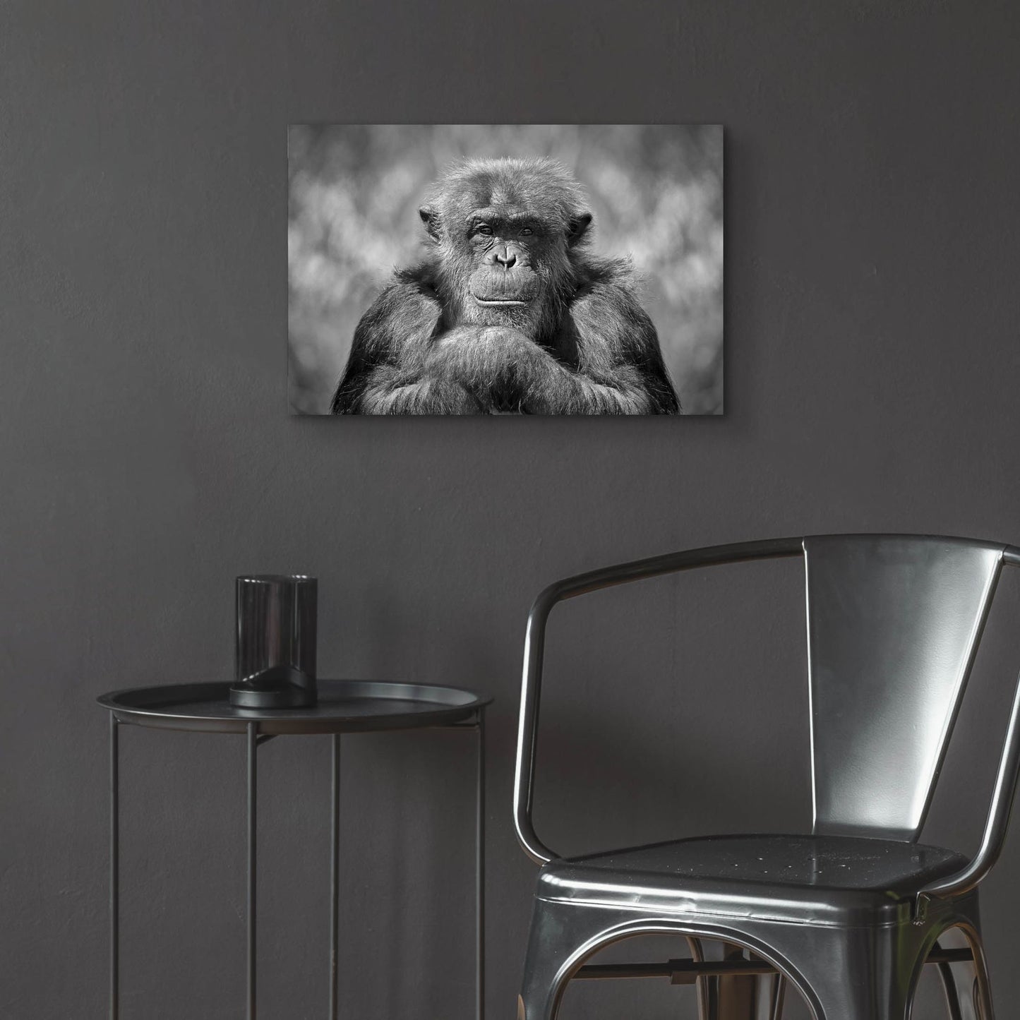 Epic Art 'Chimp' by SD Smart, Acrylic Glass Wall Art,24x16