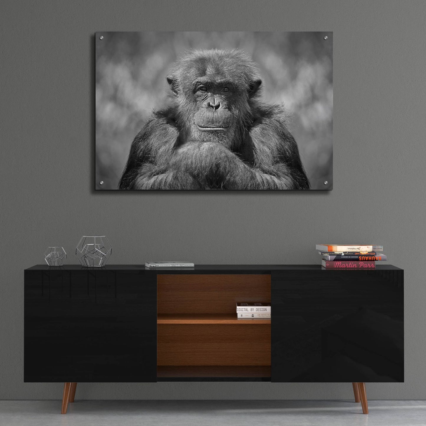 Epic Art 'Chimp' by SD Smart, Acrylic Glass Wall Art,36x24