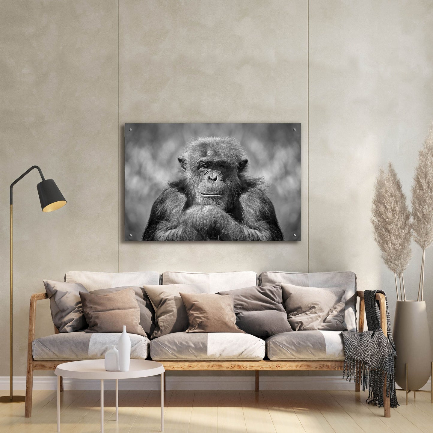 Epic Art 'Chimp' by SD Smart, Acrylic Glass Wall Art,36x24