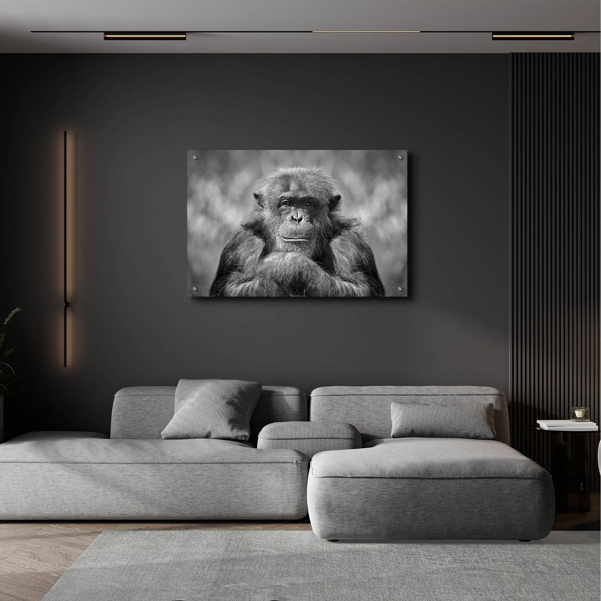 Epic Art 'Chimp' by SD Smart, Acrylic Glass Wall Art,36x24