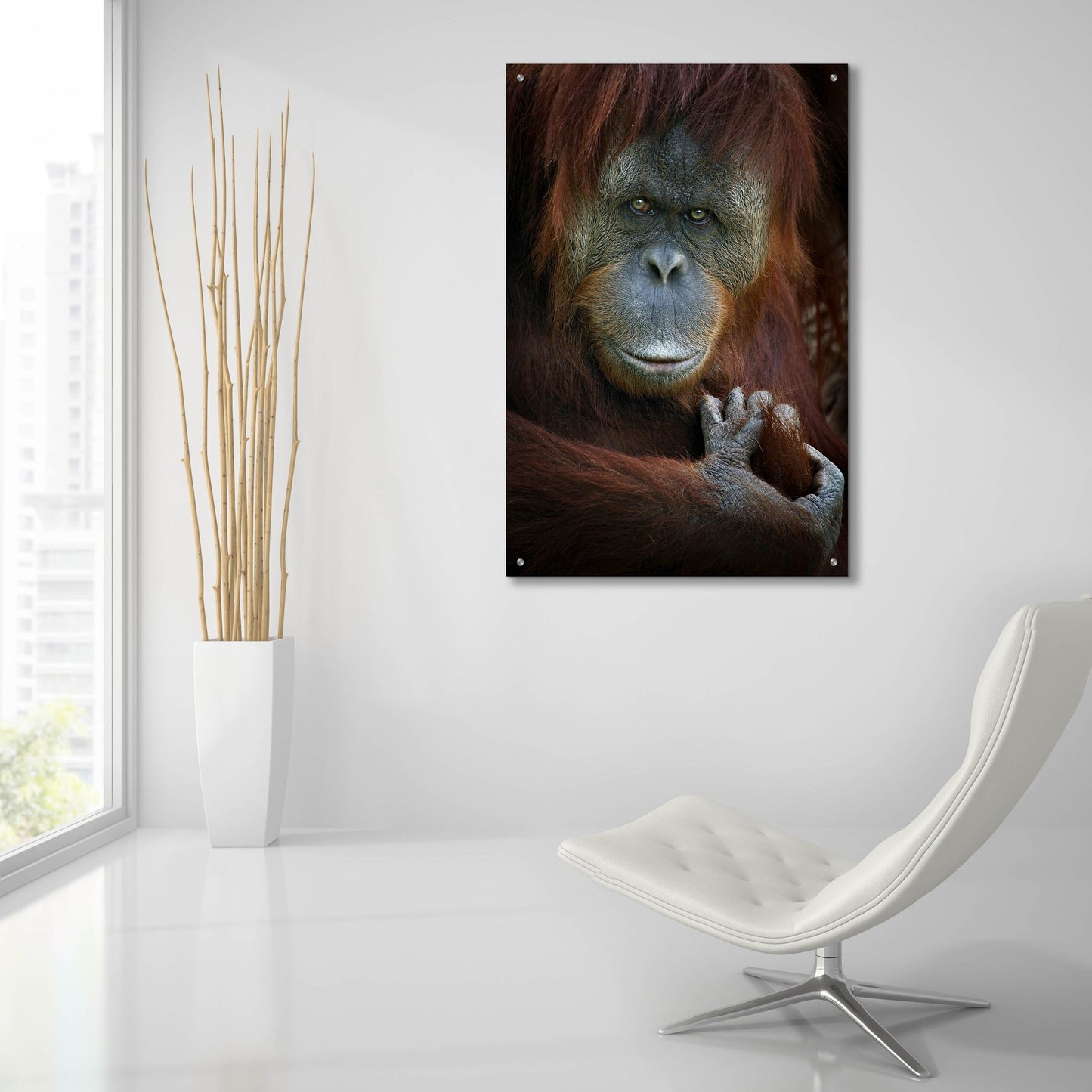 Epic Art 'Emotion' by SD Smart, Acrylic Glass Wall Art,24x36