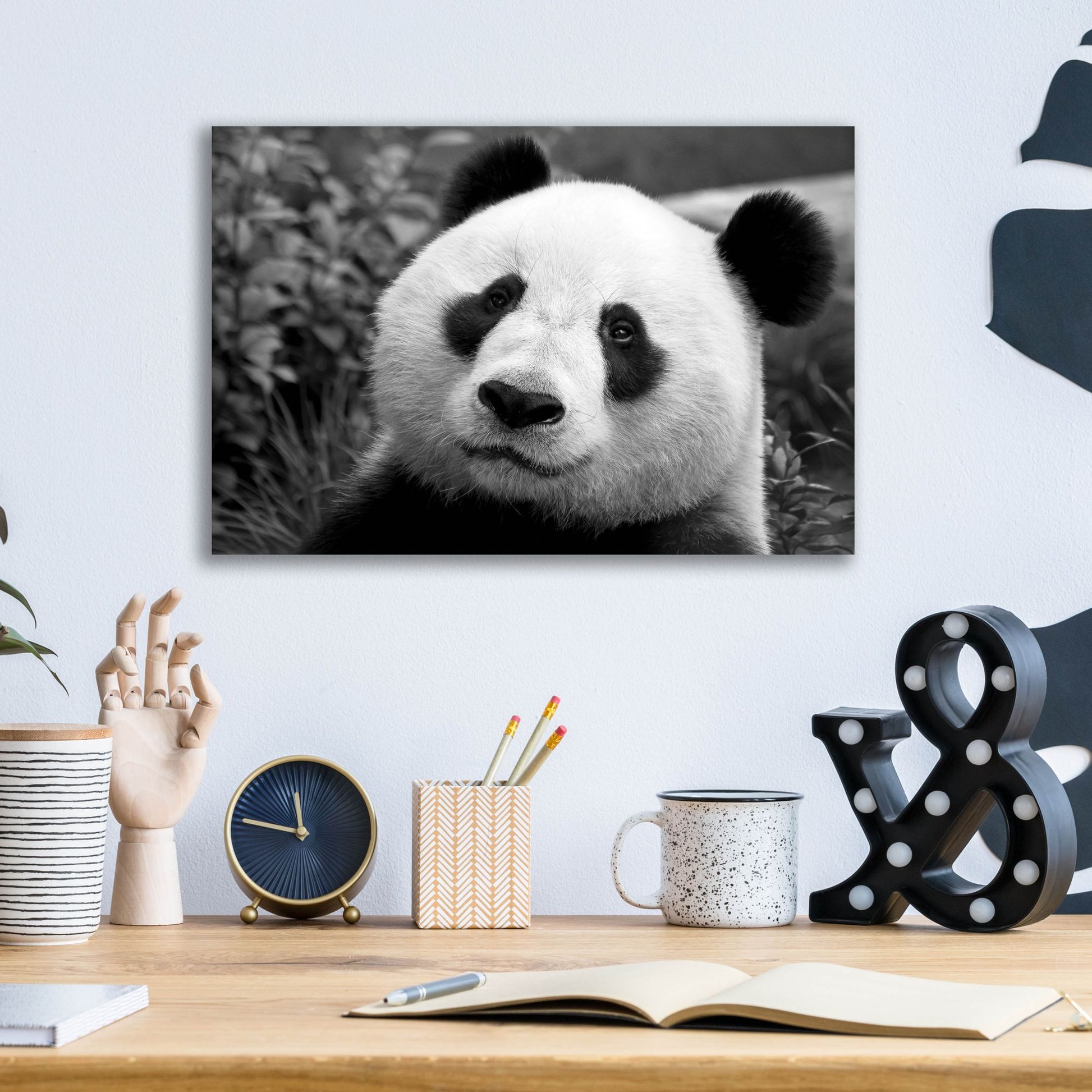 Epic Art 'Giant Panda' by SD Smart, Acrylic Glass Wall Art,16x12