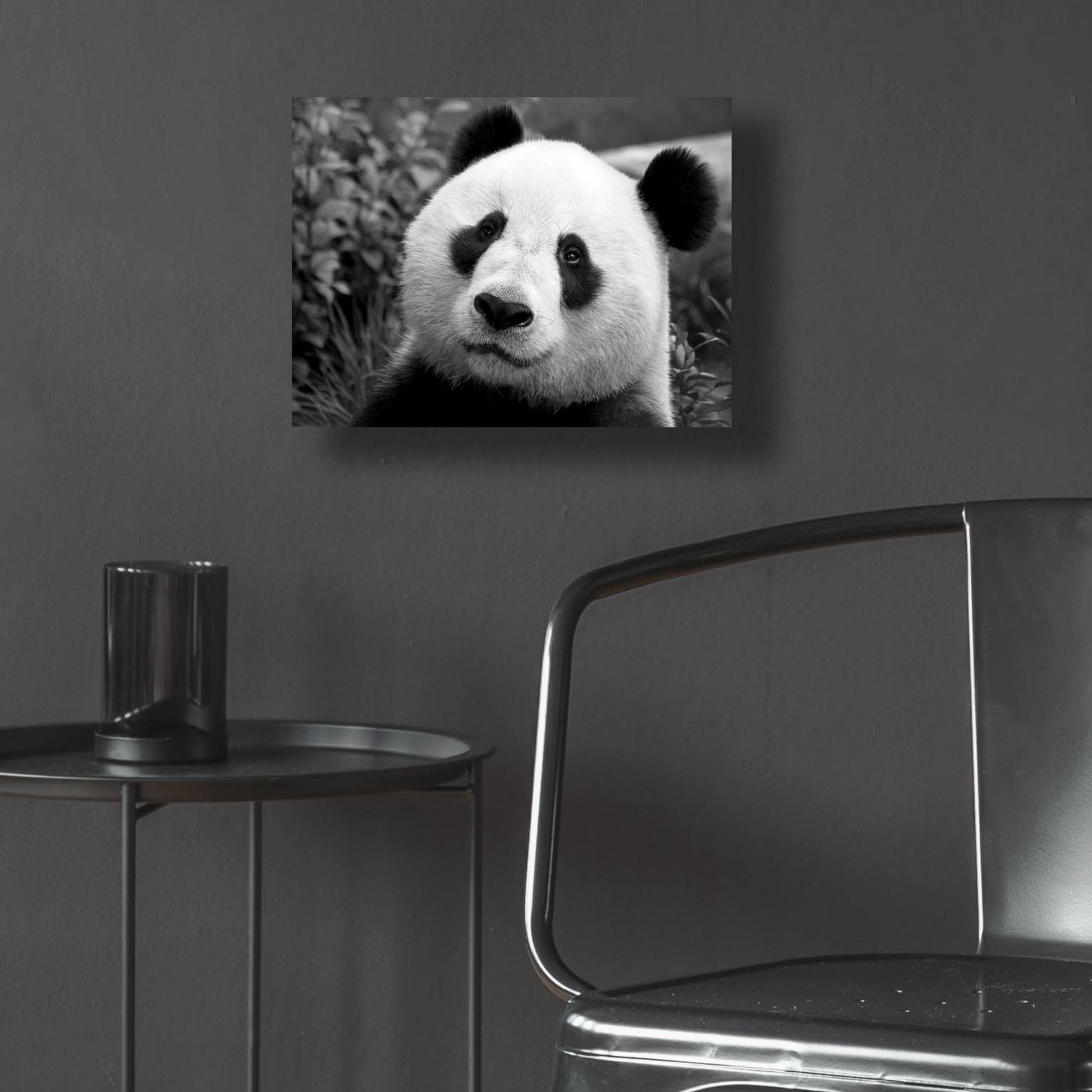 Epic Art 'Giant Panda' by SD Smart, Acrylic Glass Wall Art,16x12