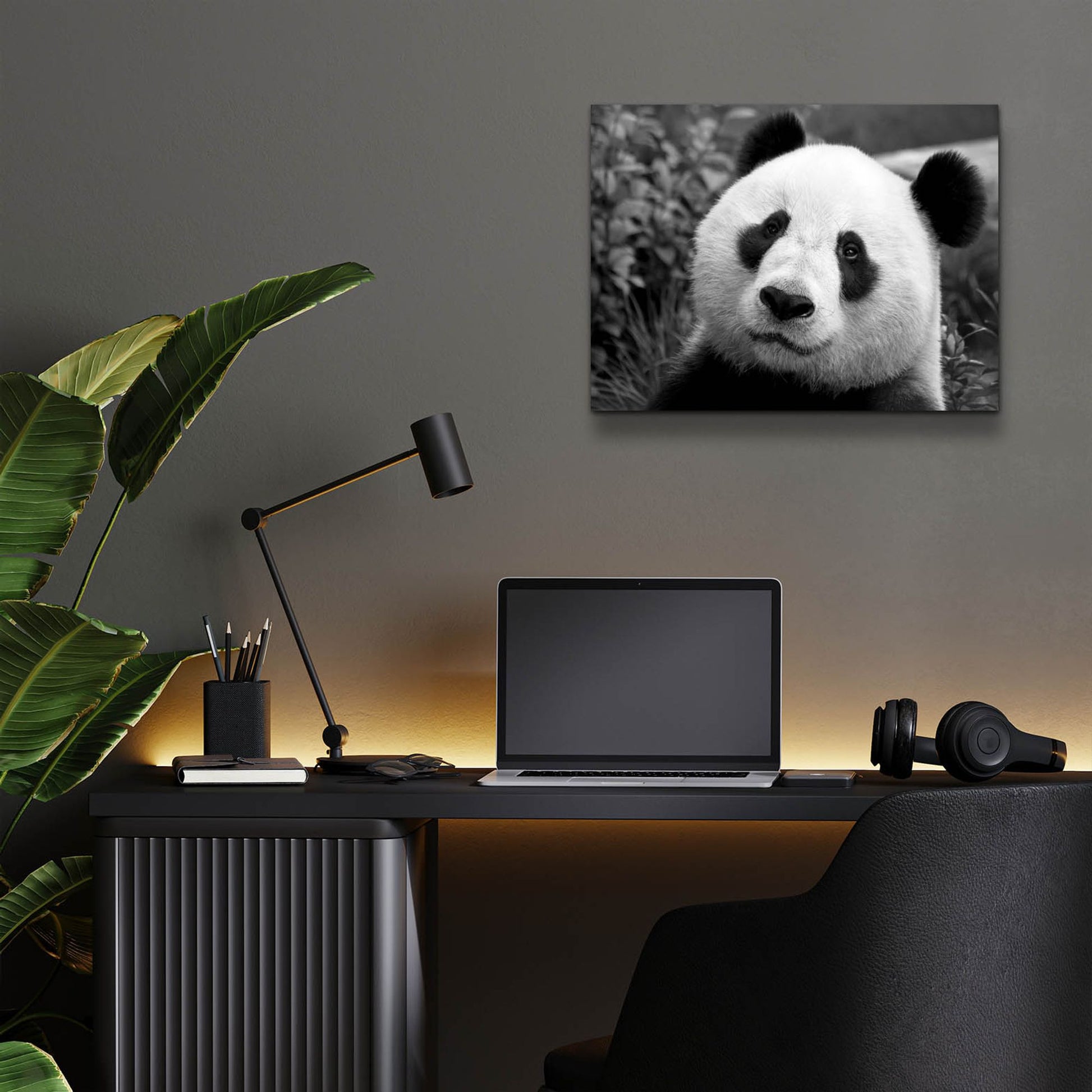 Epic Art 'Giant Panda' by SD Smart, Acrylic Glass Wall Art,16x12