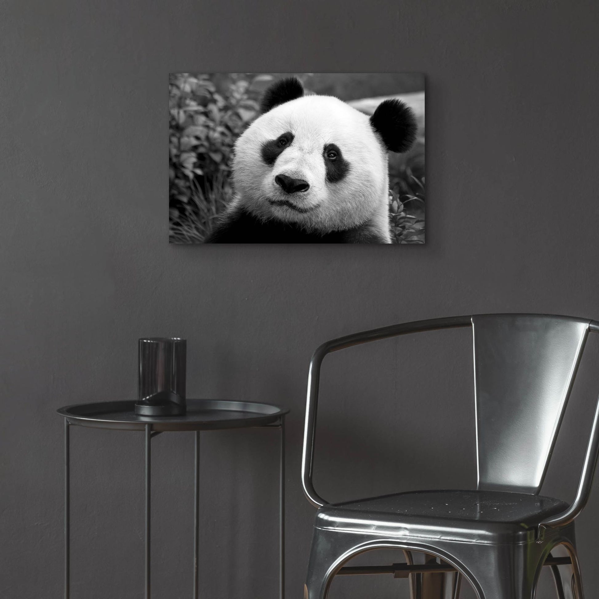 Epic Art 'Giant Panda' by SD Smart, Acrylic Glass Wall Art,24x16