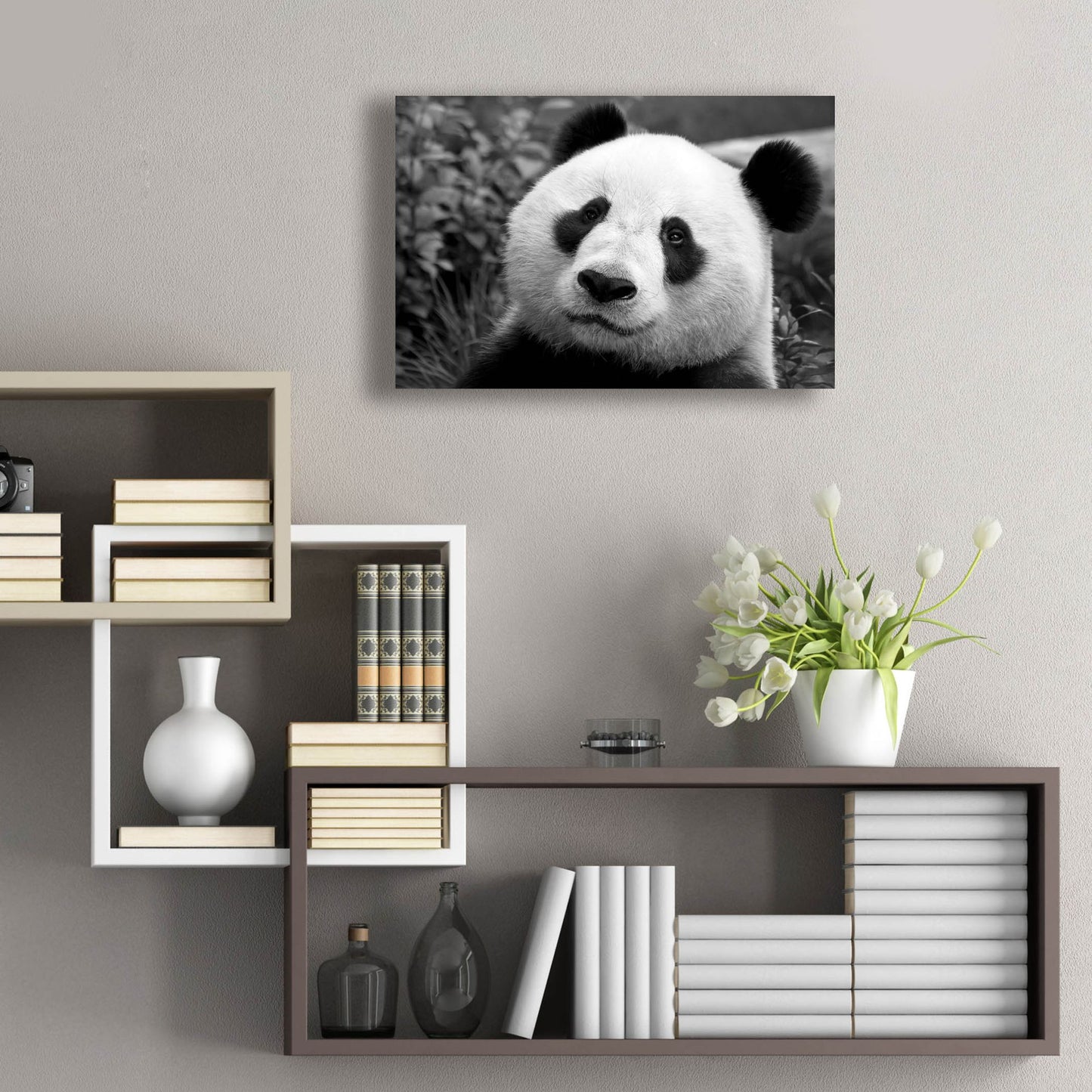 Epic Art 'Giant Panda' by SD Smart, Acrylic Glass Wall Art,24x16