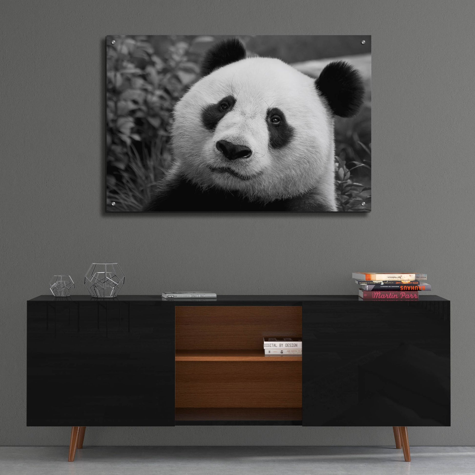 Epic Art 'Giant Panda' by SD Smart, Acrylic Glass Wall Art,36x24