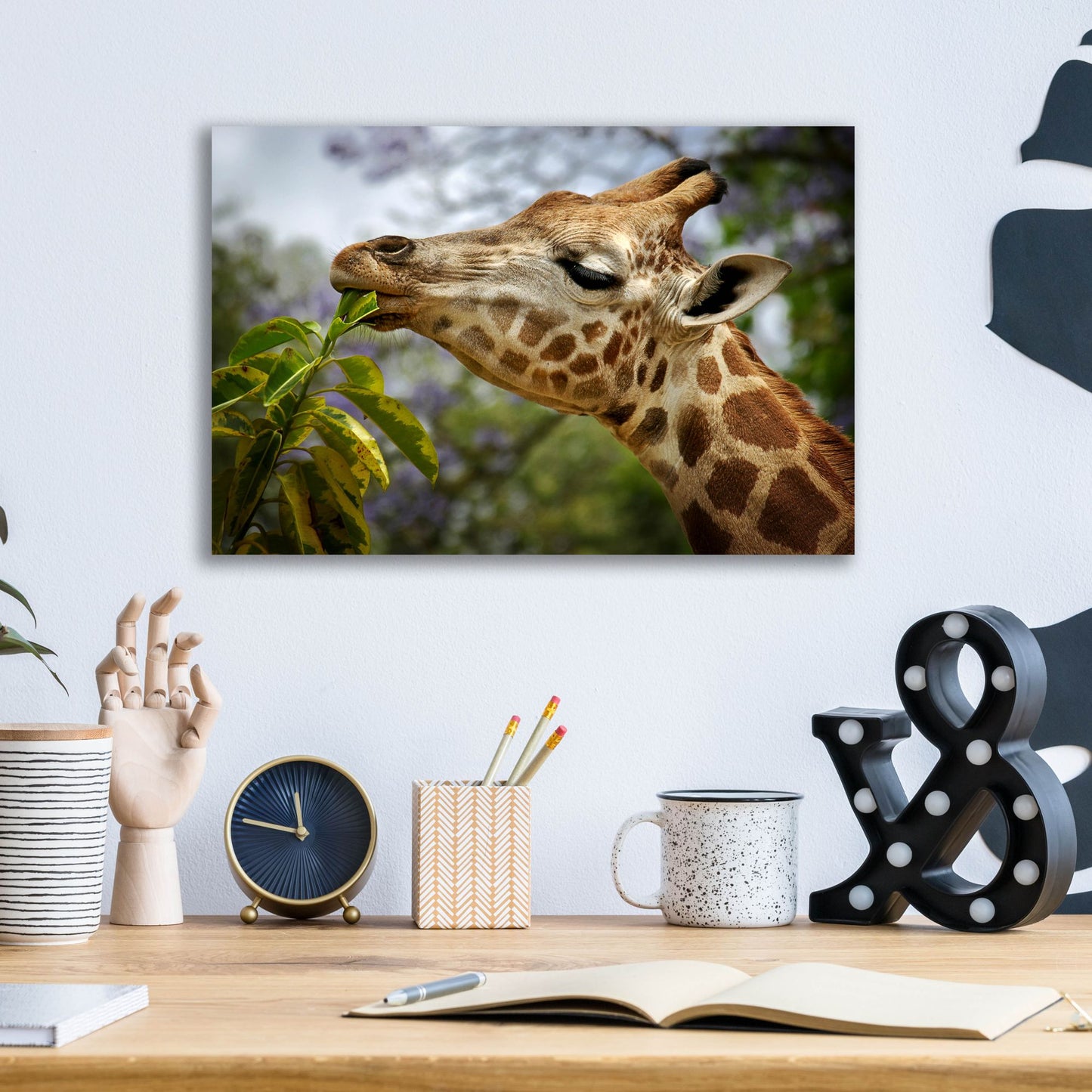 Epic Art 'Giraffe' by SD Smart, Acrylic Glass Wall Art,16x12