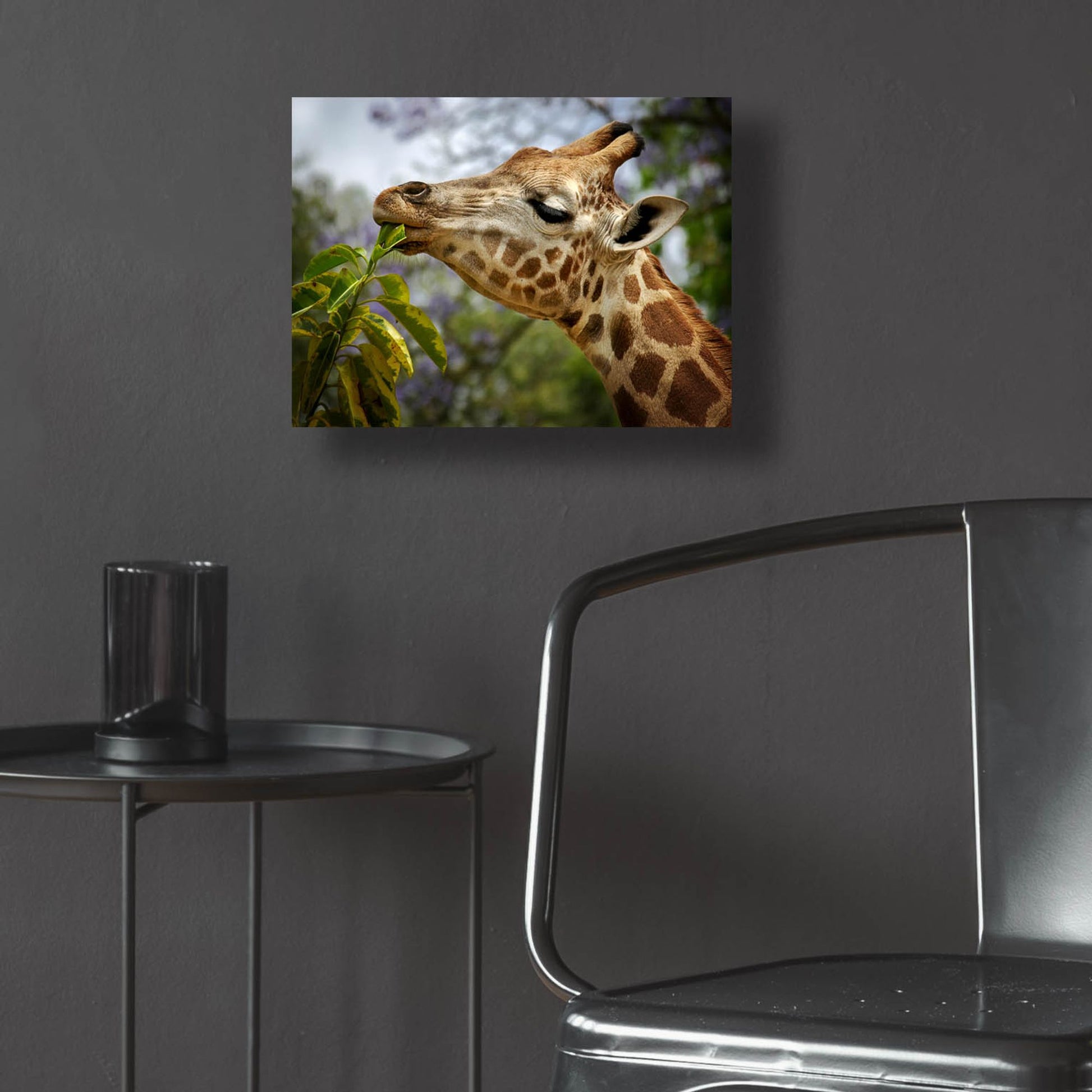 Epic Art 'Giraffe' by SD Smart, Acrylic Glass Wall Art,16x12