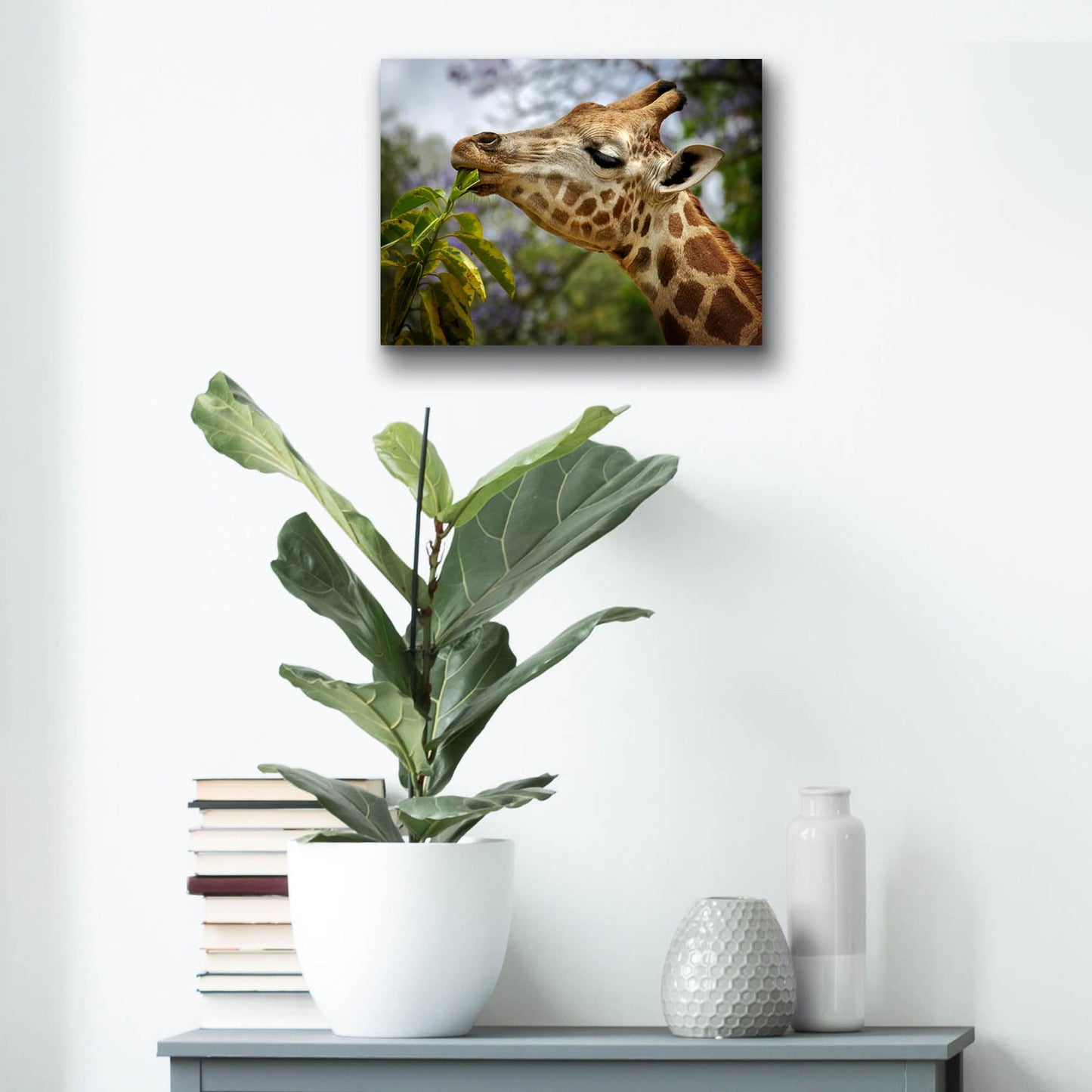 Epic Art 'Giraffe' by SD Smart, Acrylic Glass Wall Art,16x12