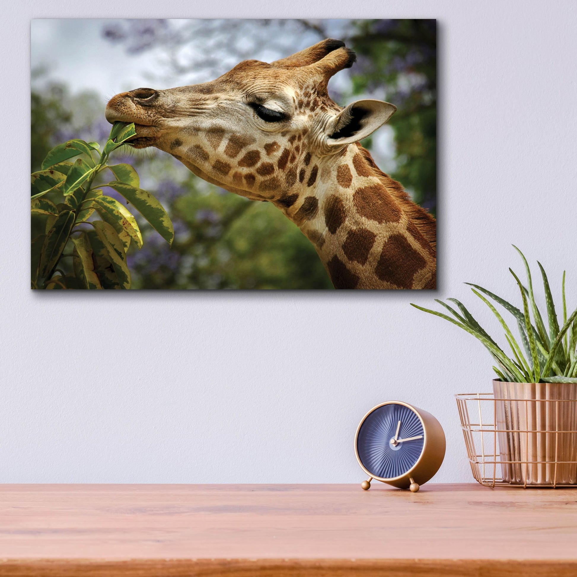 Epic Art 'Giraffe' by SD Smart, Acrylic Glass Wall Art,16x12