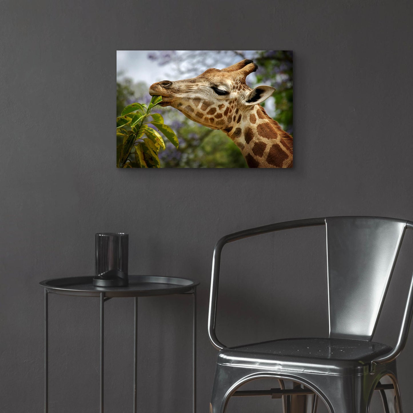 Epic Art 'Giraffe' by SD Smart, Acrylic Glass Wall Art,24x16