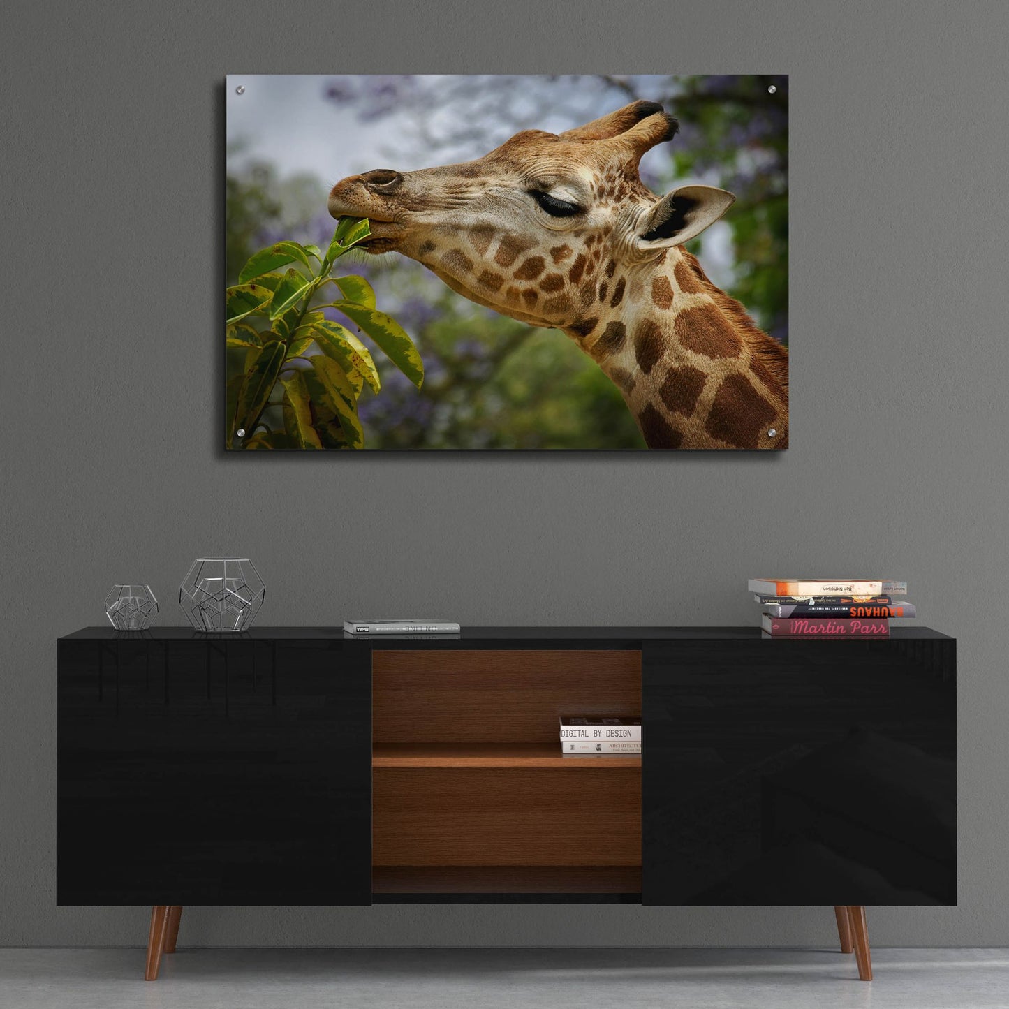 Epic Art 'Giraffe' by SD Smart, Acrylic Glass Wall Art,36x24