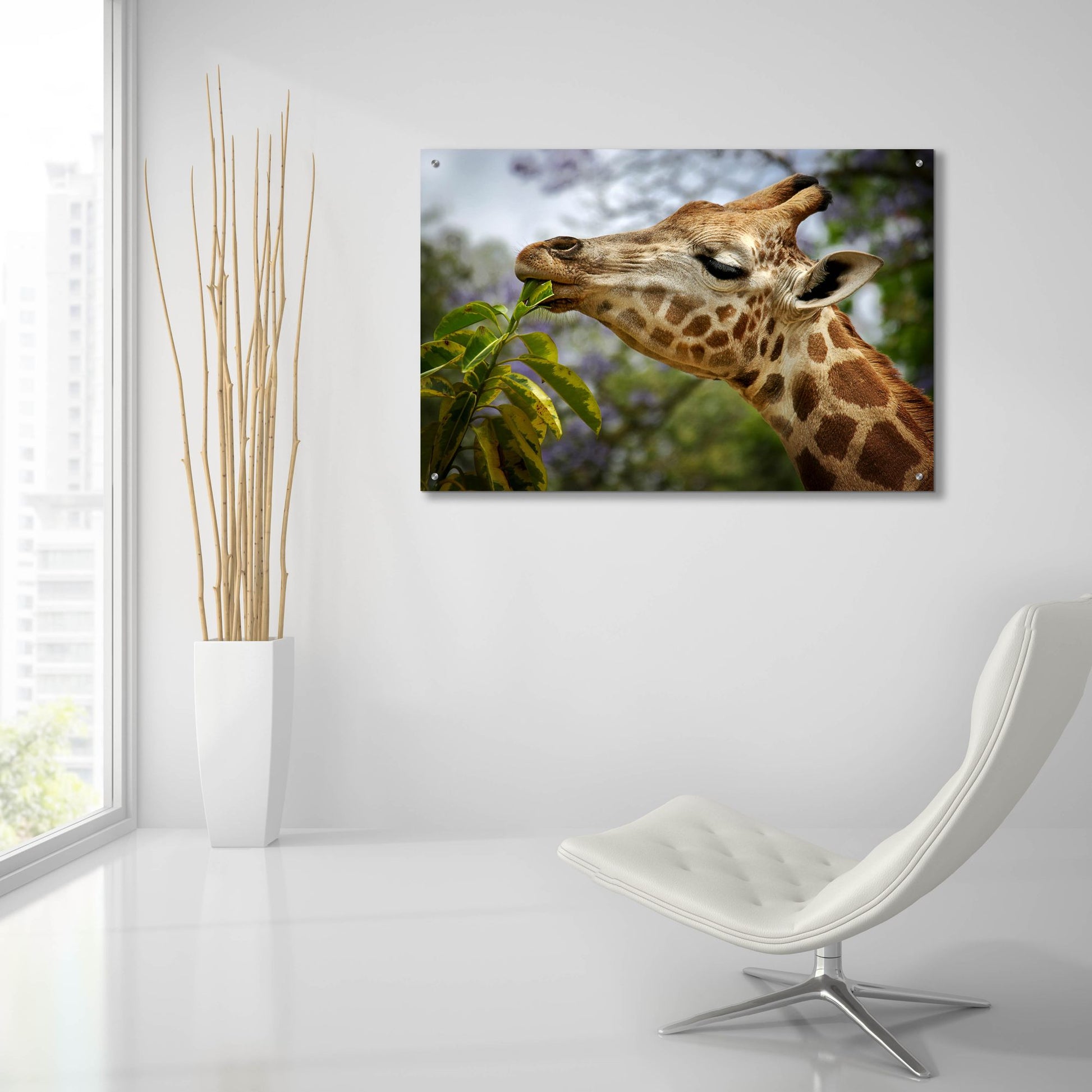 Epic Art 'Giraffe' by SD Smart, Acrylic Glass Wall Art,36x24