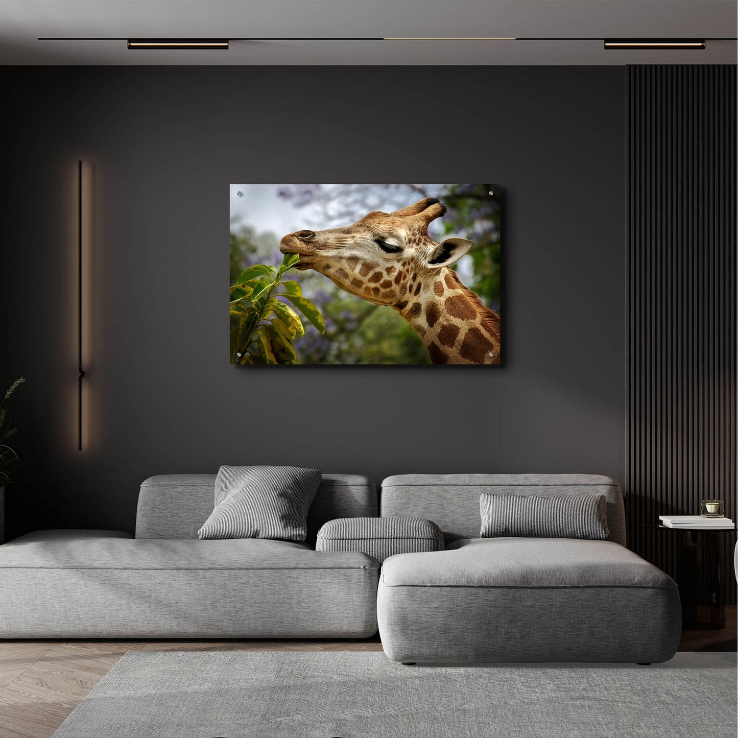 Epic Art 'Giraffe' by SD Smart, Acrylic Glass Wall Art,36x24