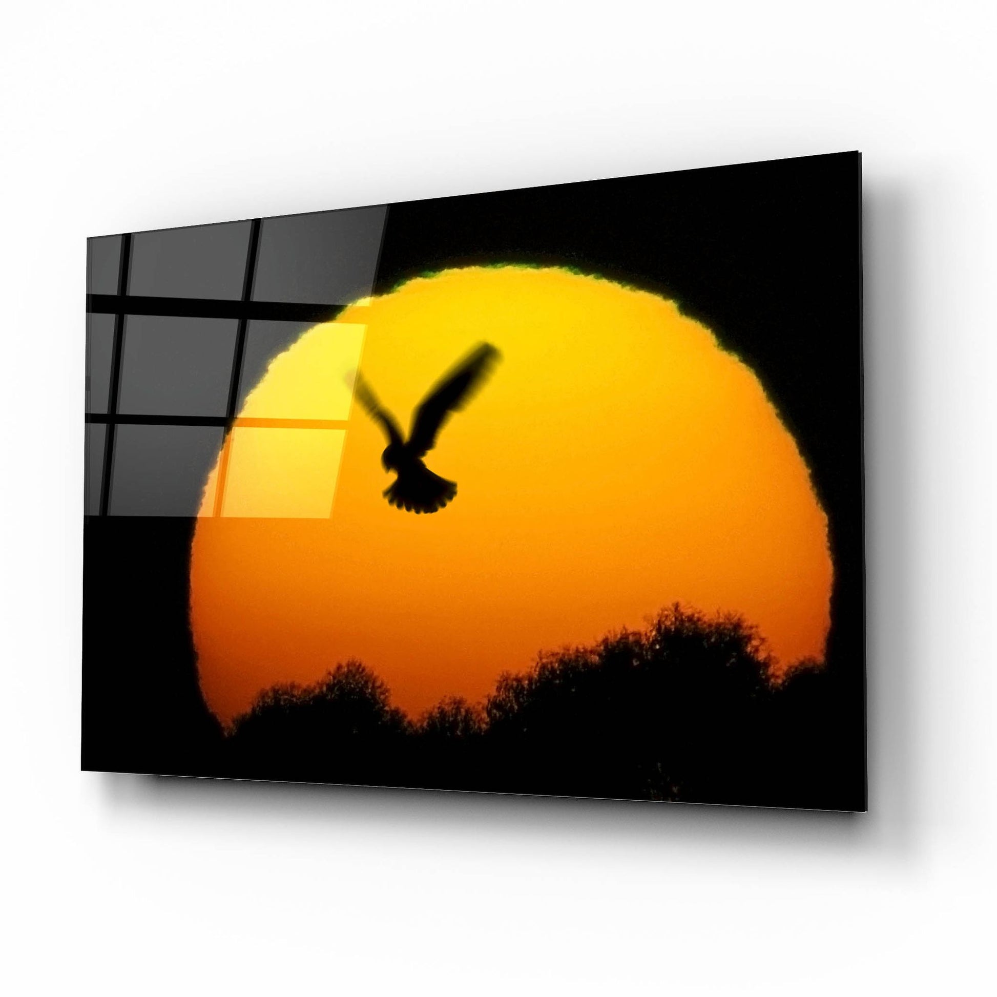 Epic Art 'Into the Sun' by SD Smart, Acrylic Glass Wall Art,16x12