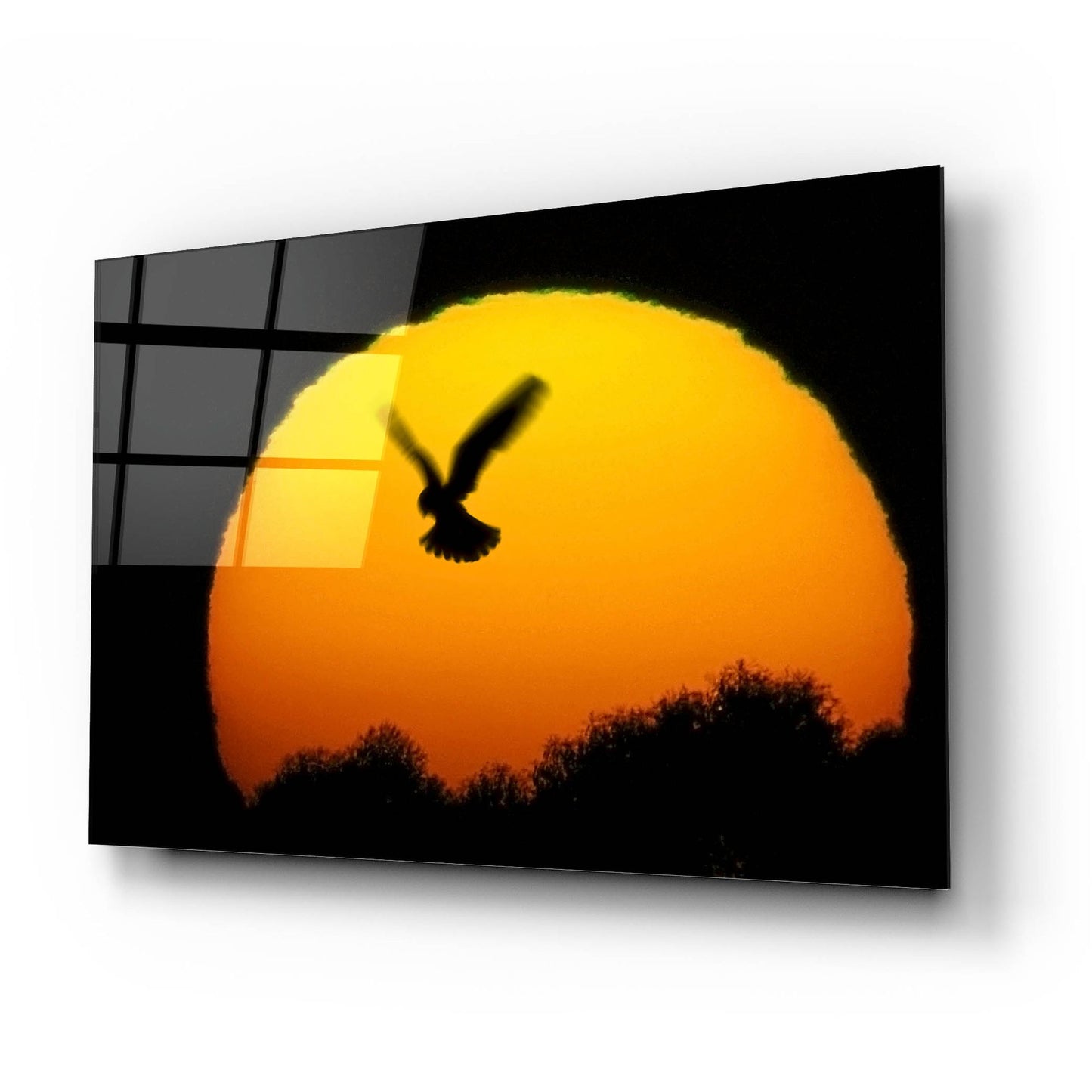 Epic Art 'Into the Sun' by SD Smart, Acrylic Glass Wall Art,24x16